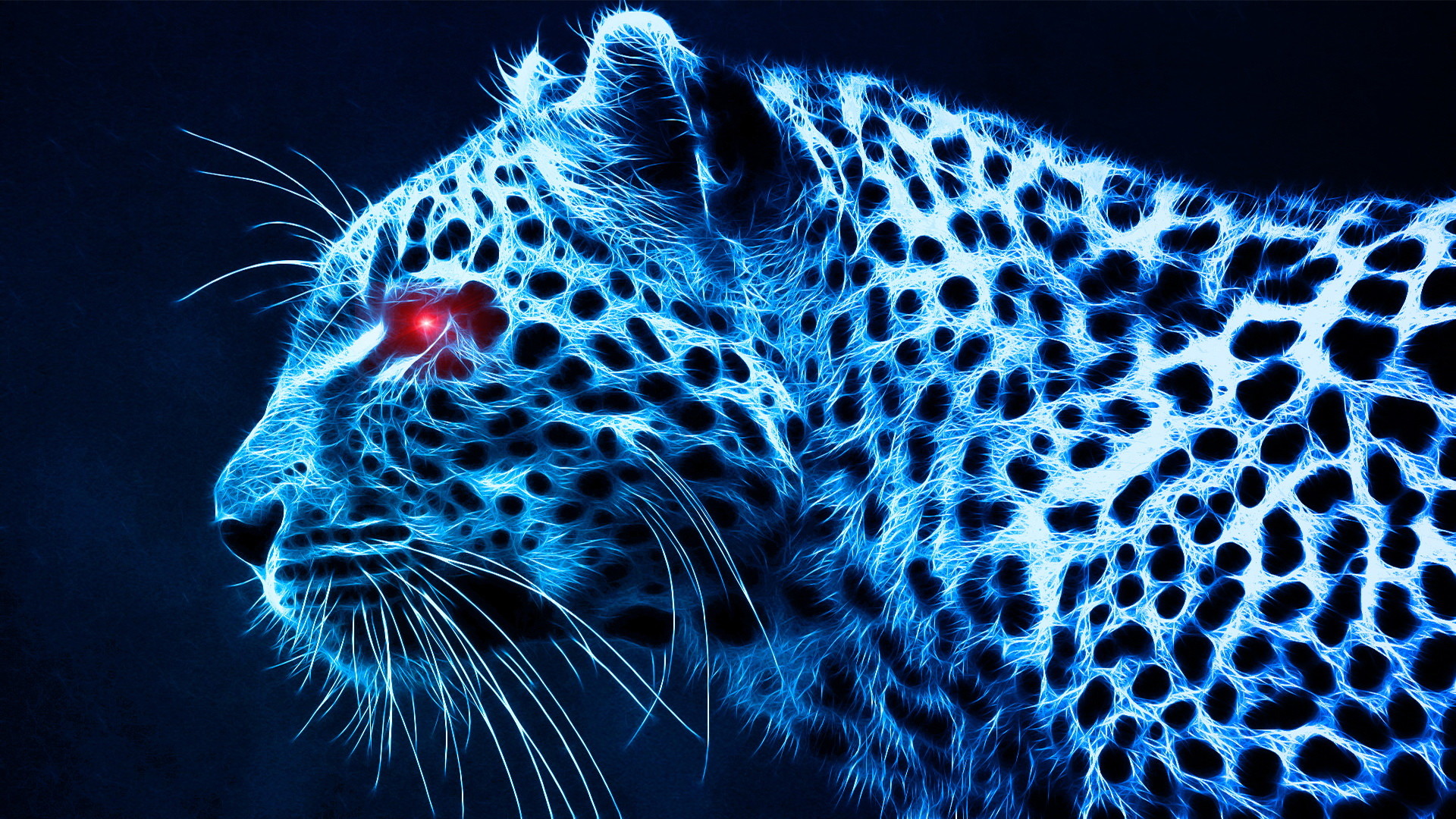 1920x1080 WallpapersCastle.com | Cheetah Wallpapers Free Download | Page 1