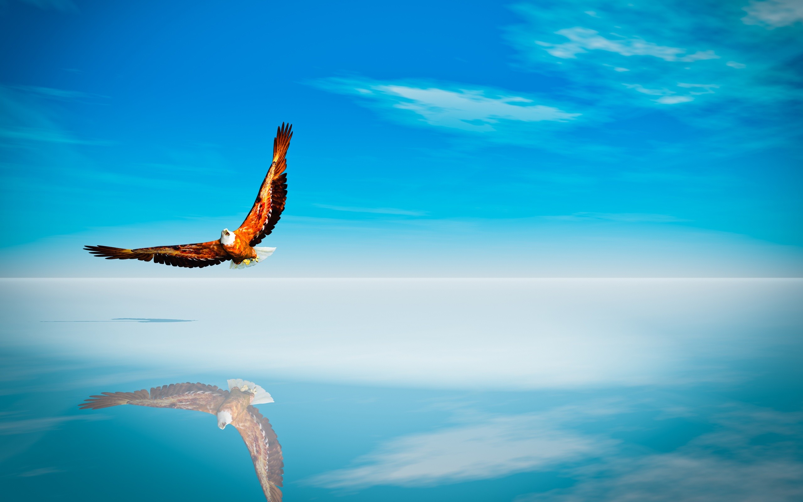 2560x1600 Download and View Full Size Photo. This Eagle Flying Against Blue Sky and  Clouds ...