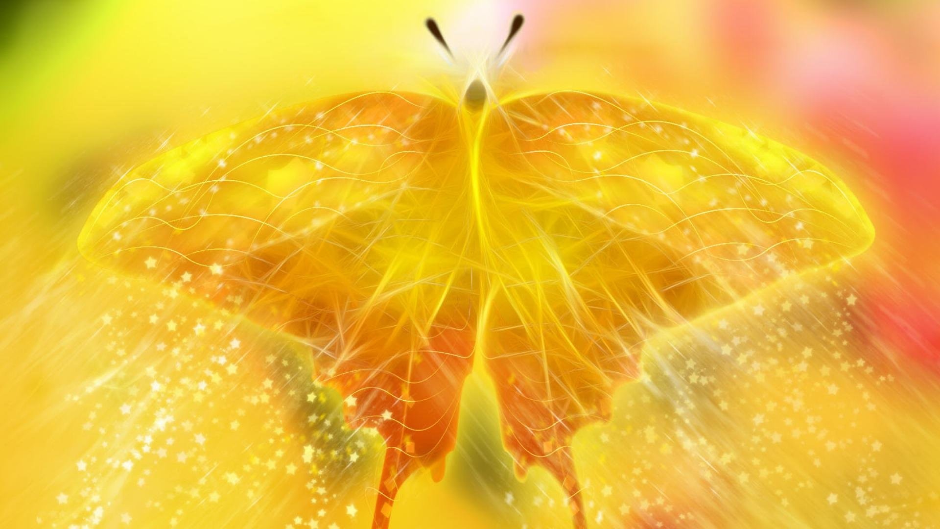 1920x1080 Yellow Butterfly 590970