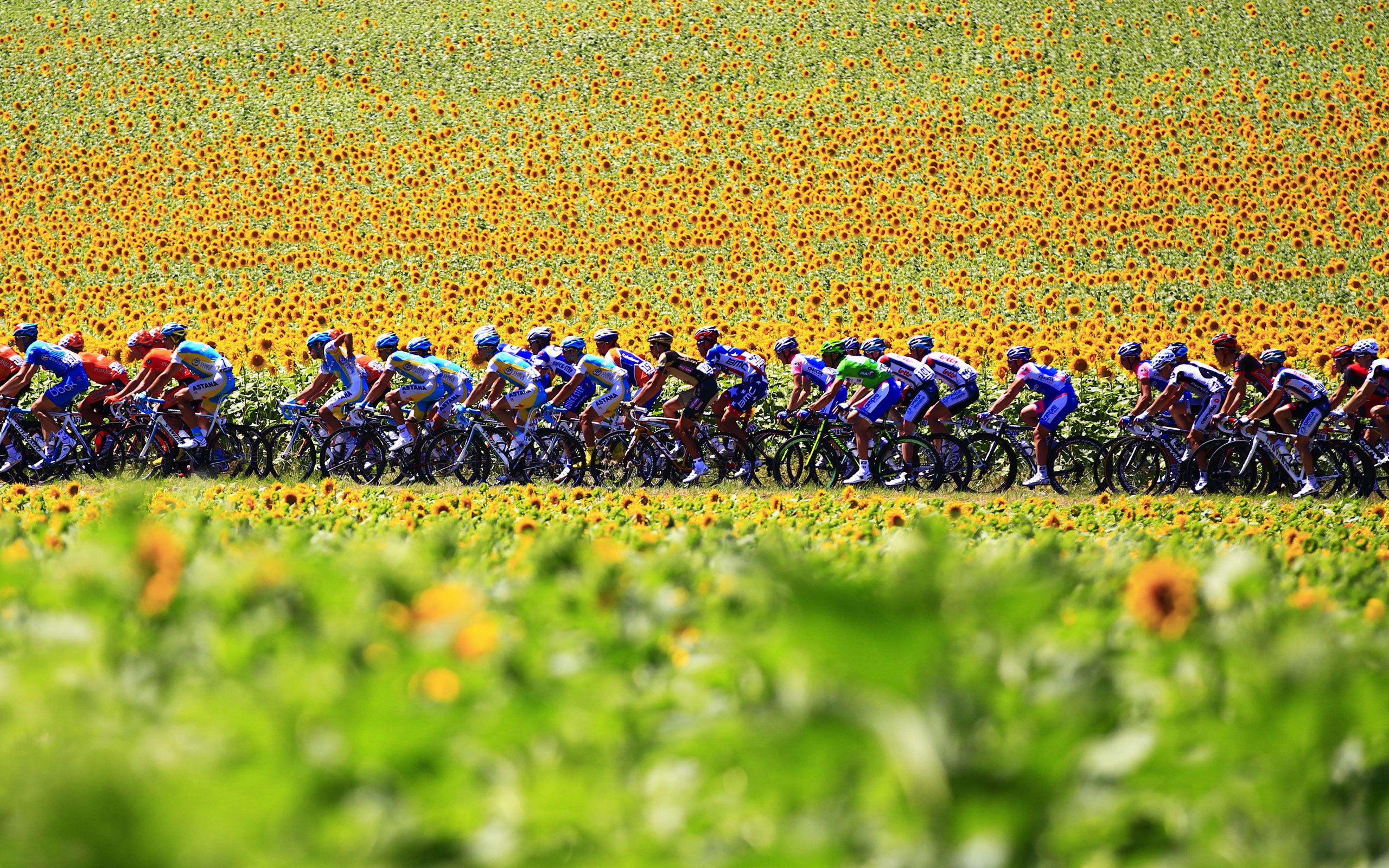 2560x1600 Tour de France - Cycling 14 - pix