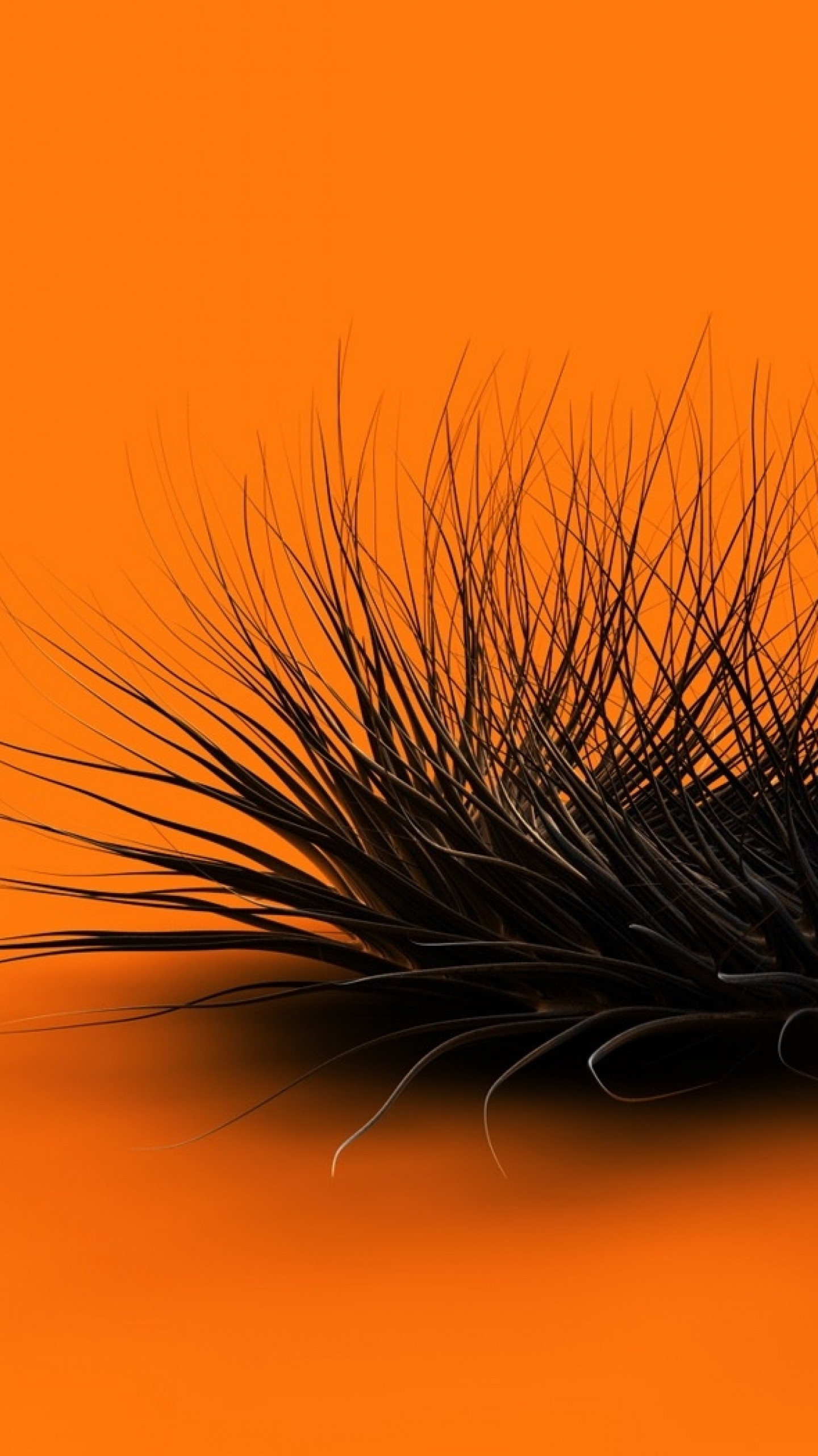 1440x2560 Preview wallpaper orange, black, feathers, form 