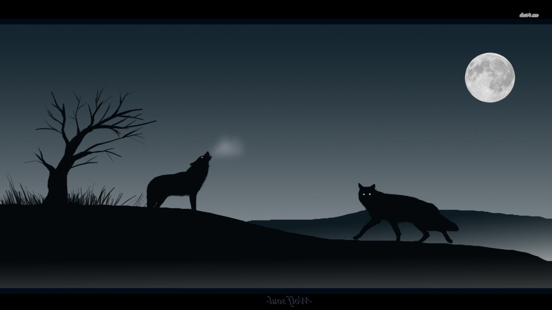 1920x1080 Howling Wolf 439842