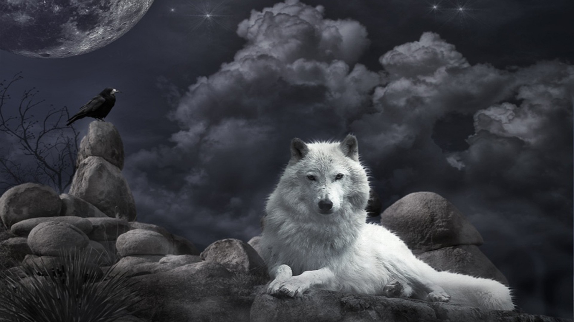 1920x1080 White wolf