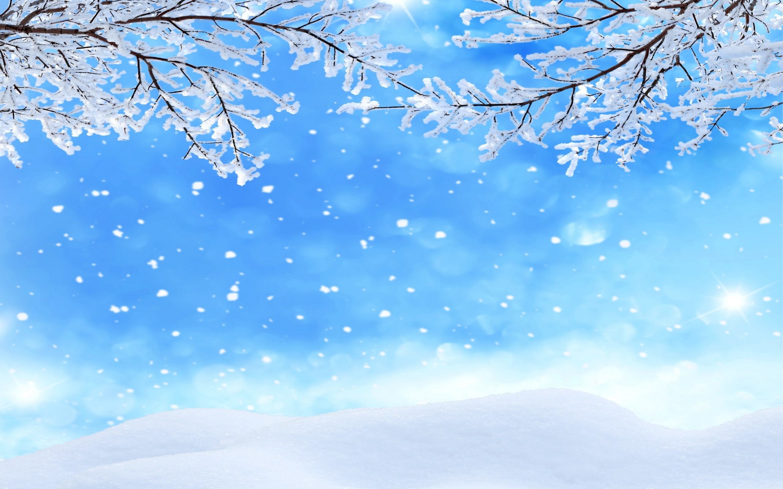2560x1600 winter-background-snowflakes-wallpaper Â» winter-background-snowflakes -wallpaper