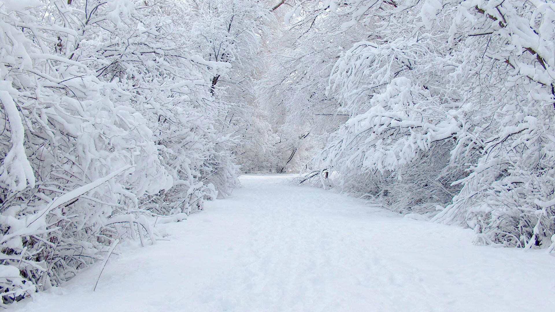 1920x1080 Beautiful places Â· Winter Snow Wallpaper ...