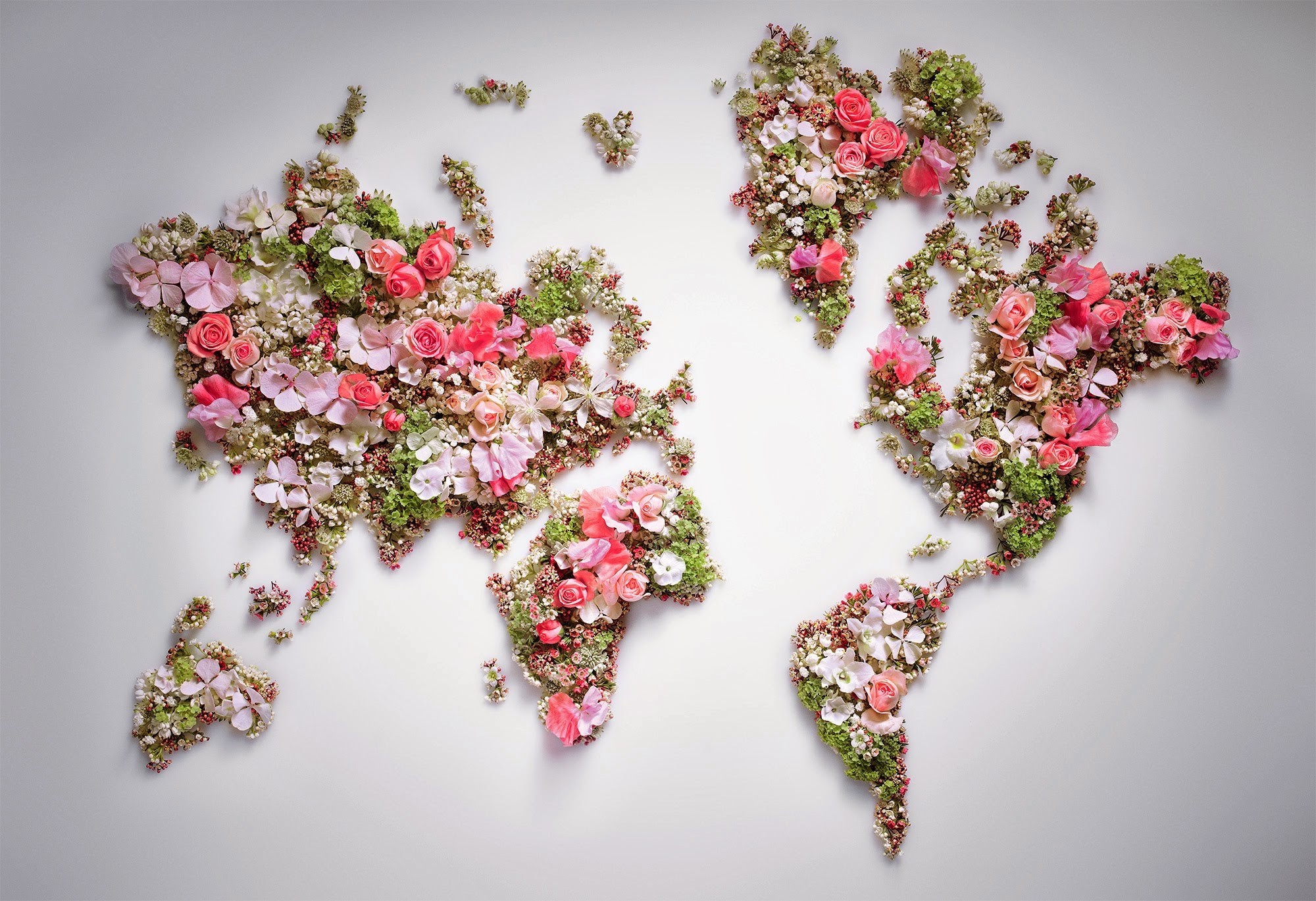 2000x1369 world, Flowers, World Map Wallpapers HD / Desktop and Mobile Backgrounds
