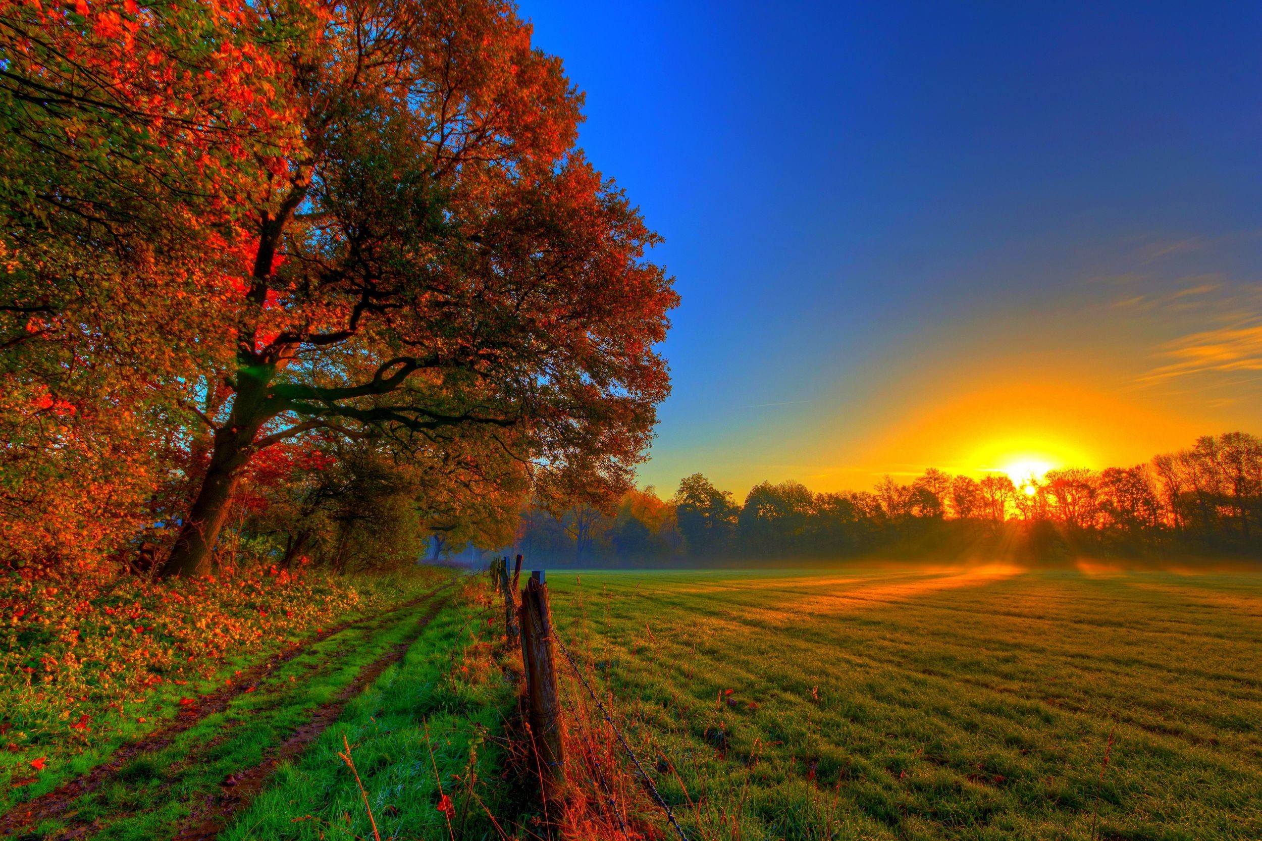 2500x1666 Photo Collection: Fall, June 30, 2019 for PC & Mac, Laptop,