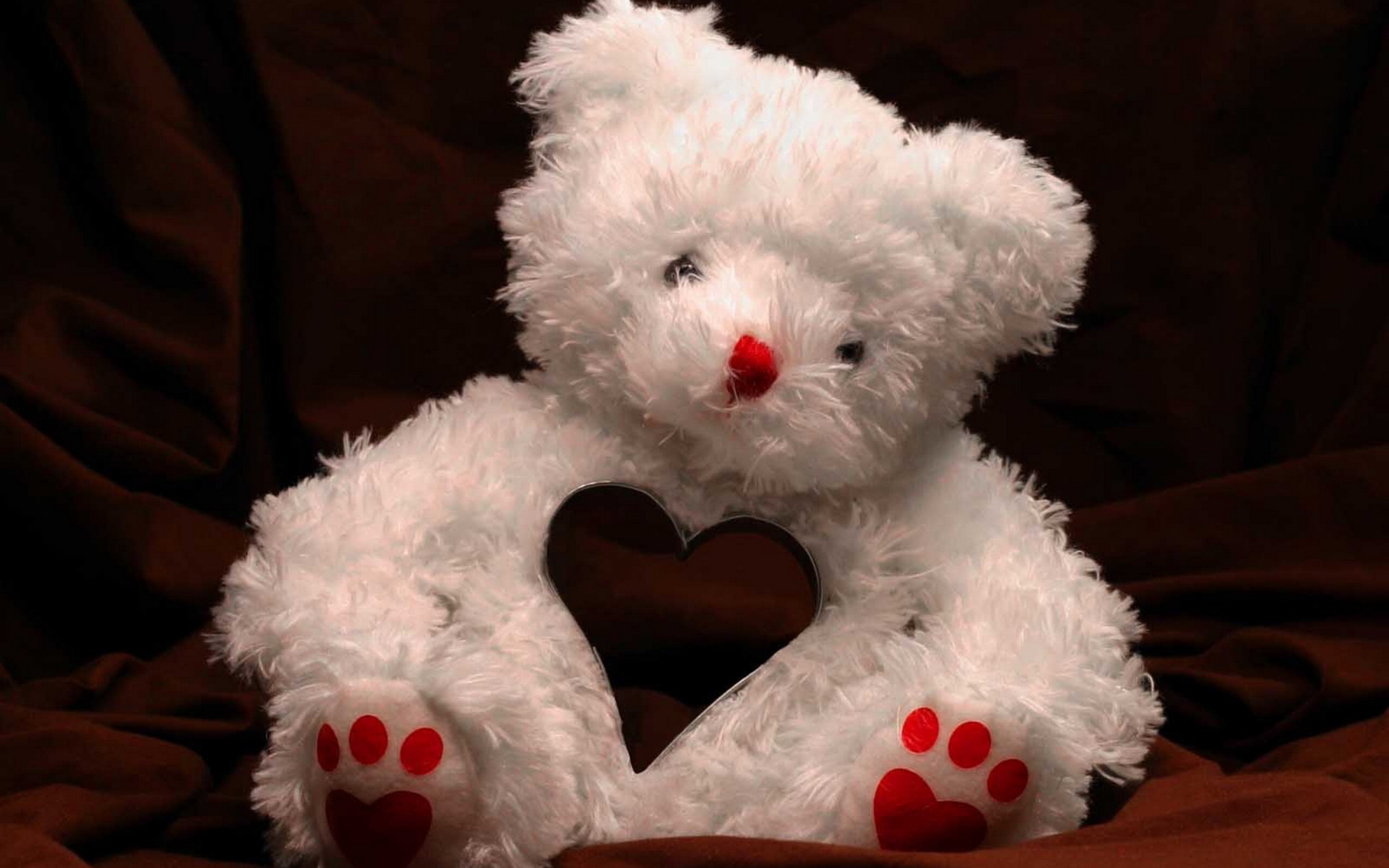 2880x1800 Cute Teddy Bear