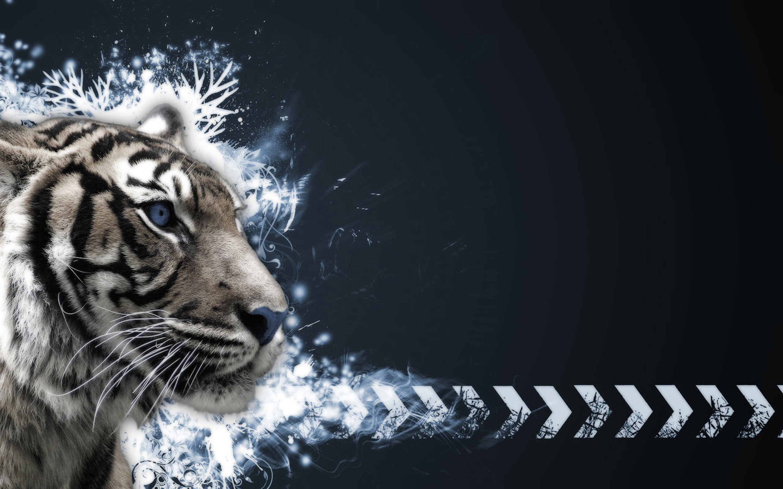 2560x1600 Animal Tiger Wallpaper. Animal Tiger