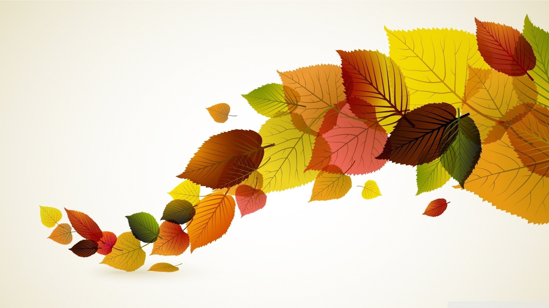 1920x1080 Fall Backgrounds Autumn Leaves