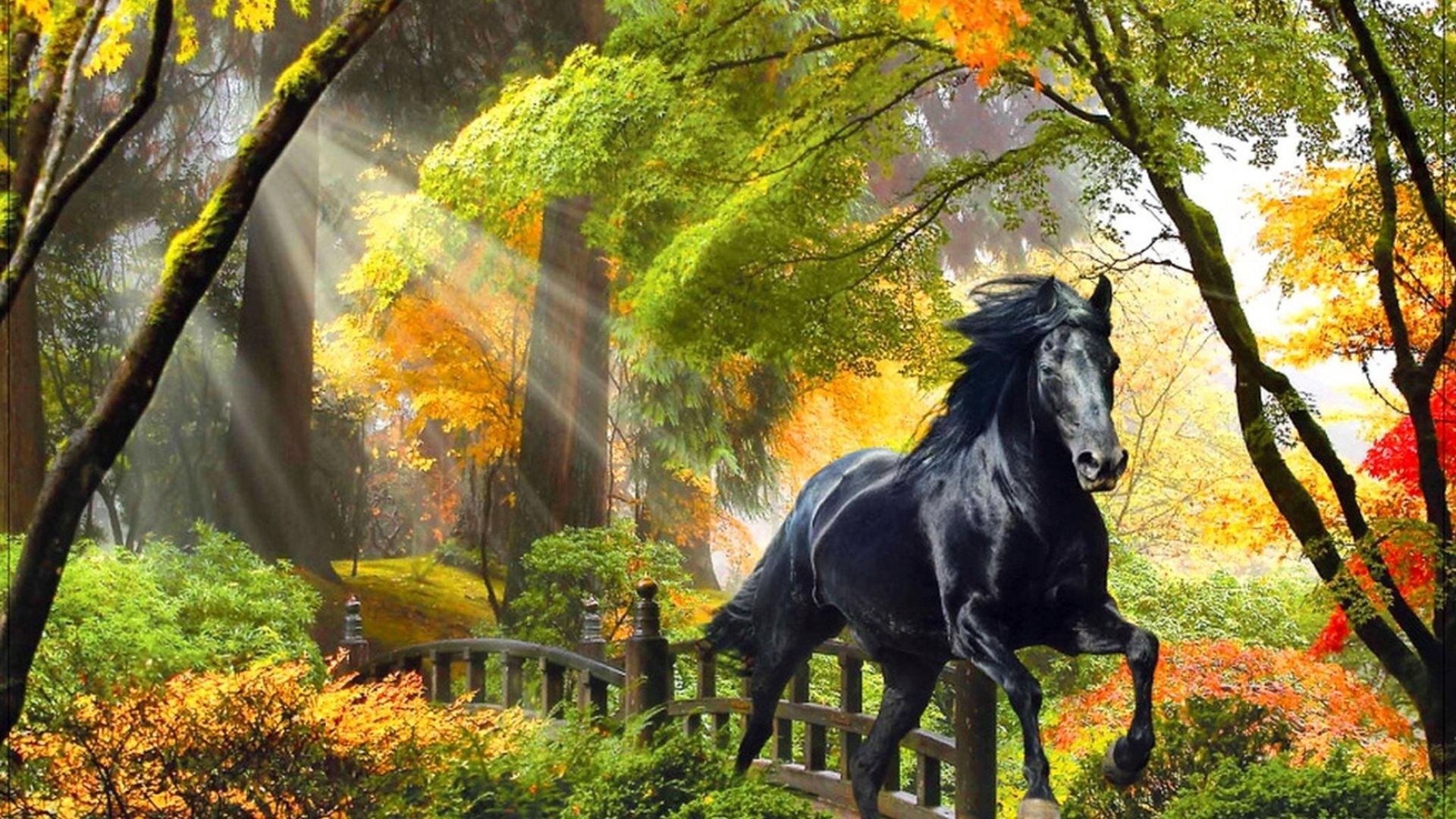 1920x1080 Forest Tag - Rays Autumn Beautiful Fall Horse Glow Bridge Art Painting  Colors Forest Enchanted Run
