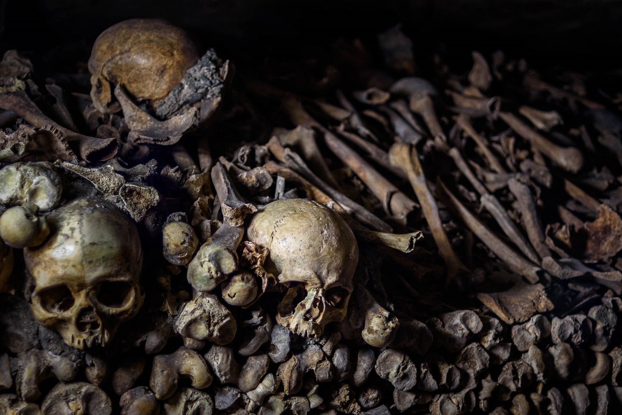 2000x1334 skulls and bones
