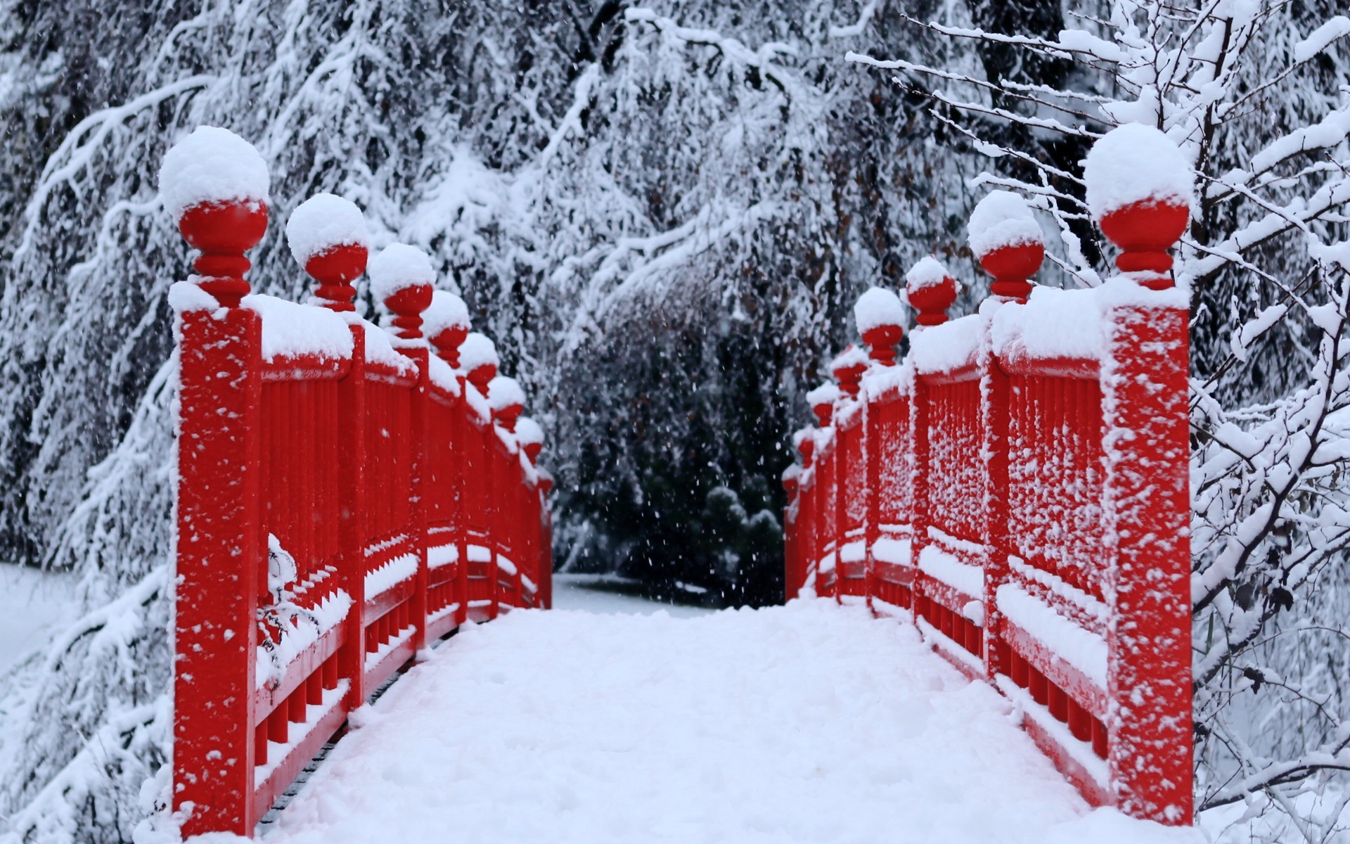 1920x1200 Snowy Red Bridge Japanese Snow Winter Nature Desktop Backgrounds