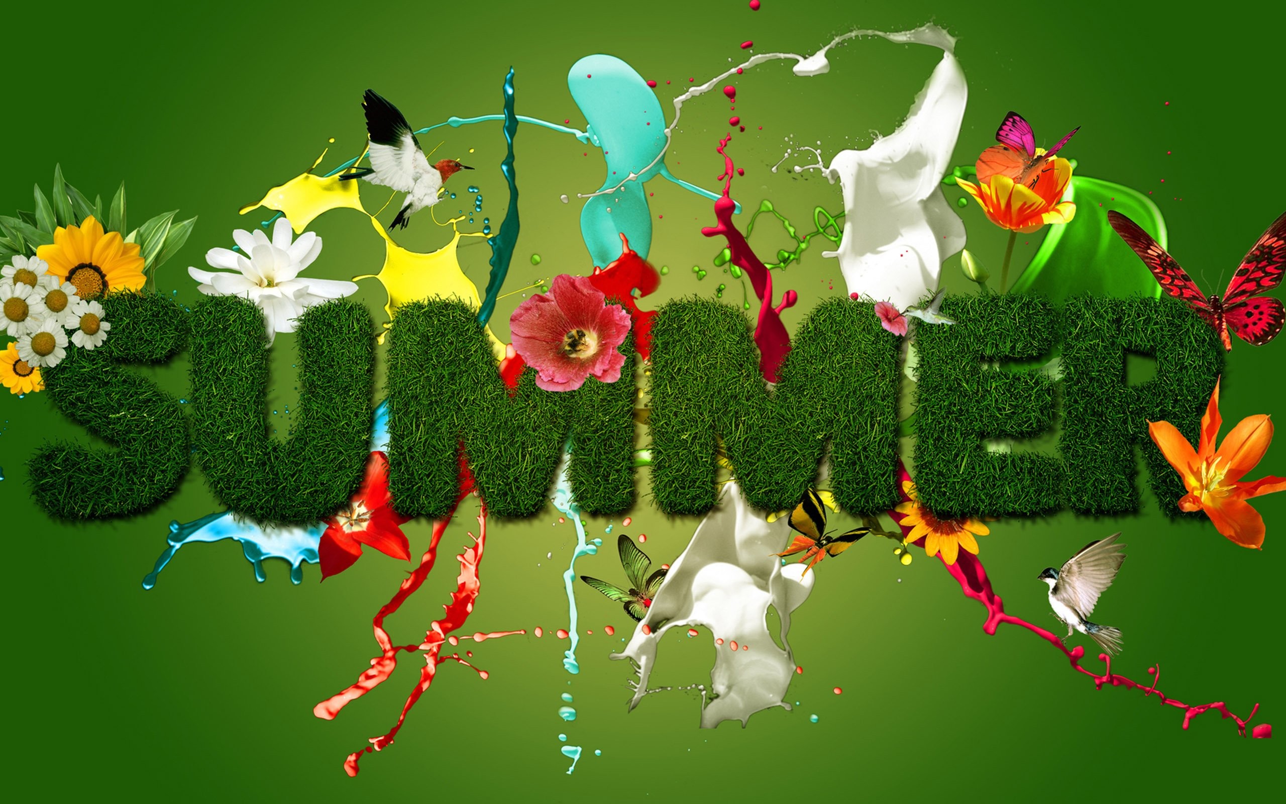 2560x1600 Summer Season Wishing Design Logo HD Wallpaper