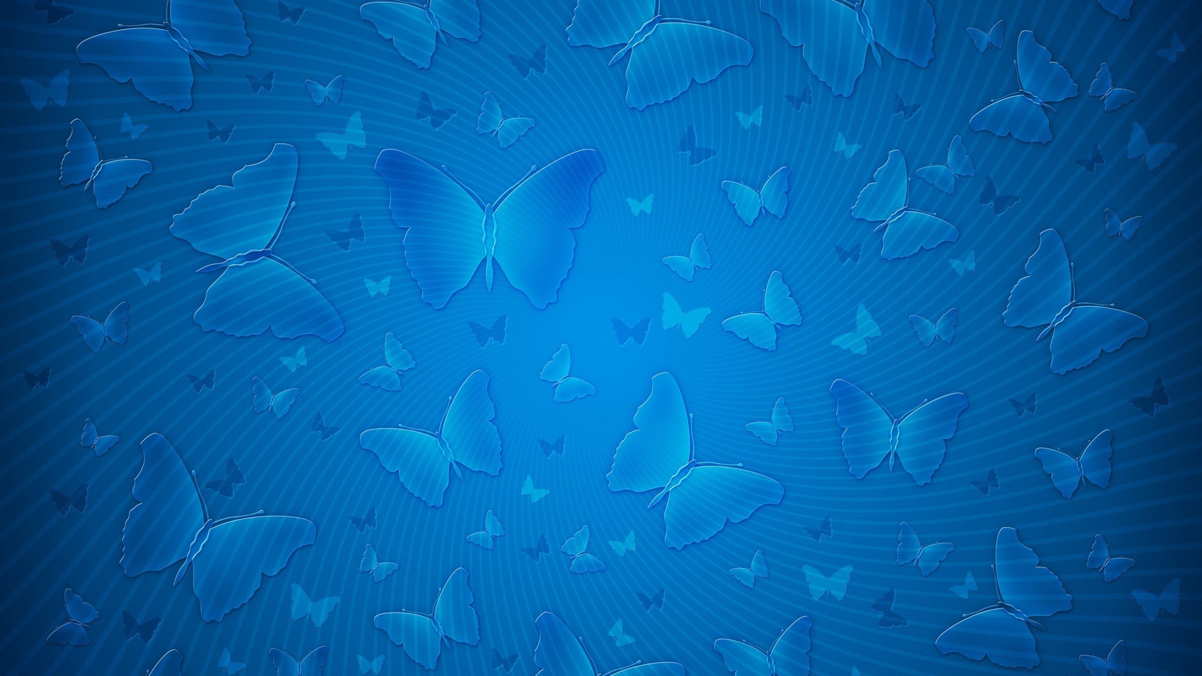 3840x2160 butterfly background blue pattern 4k ultra hd wallpaper