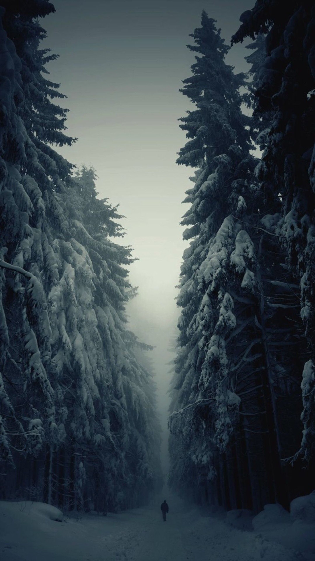 1080x1920 Snow Forest Lonely Walk iPhone 6 Plus HD Wallpaper ...