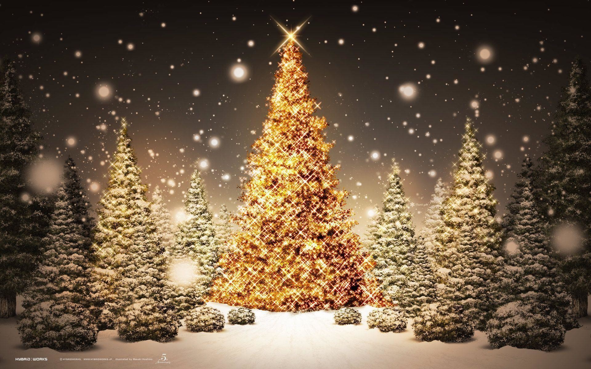 1920x1200 Pretty Christmas Trees 70878 HD Desktop Backgrounds and Widescreen .