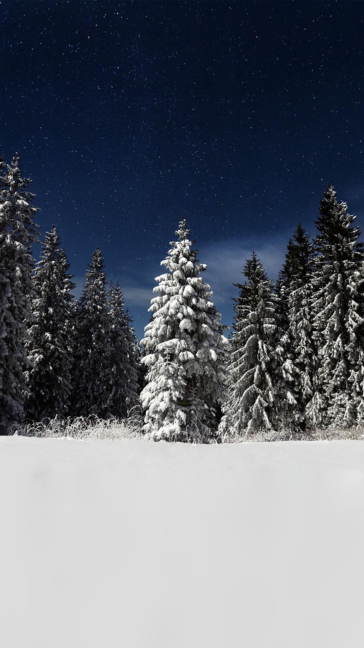 1242x2208 Snow Winter Wood Mountain Sky Star Night