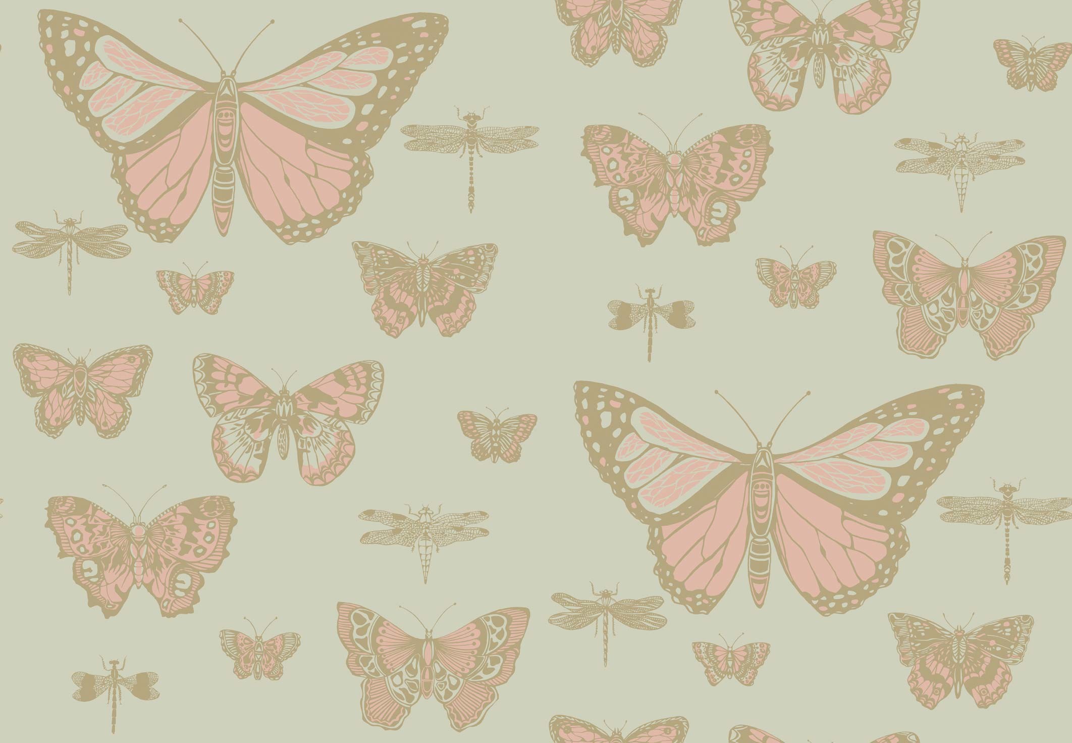 2124x1471 Butterflies & Dragonflies Wallpaper Pink on Green