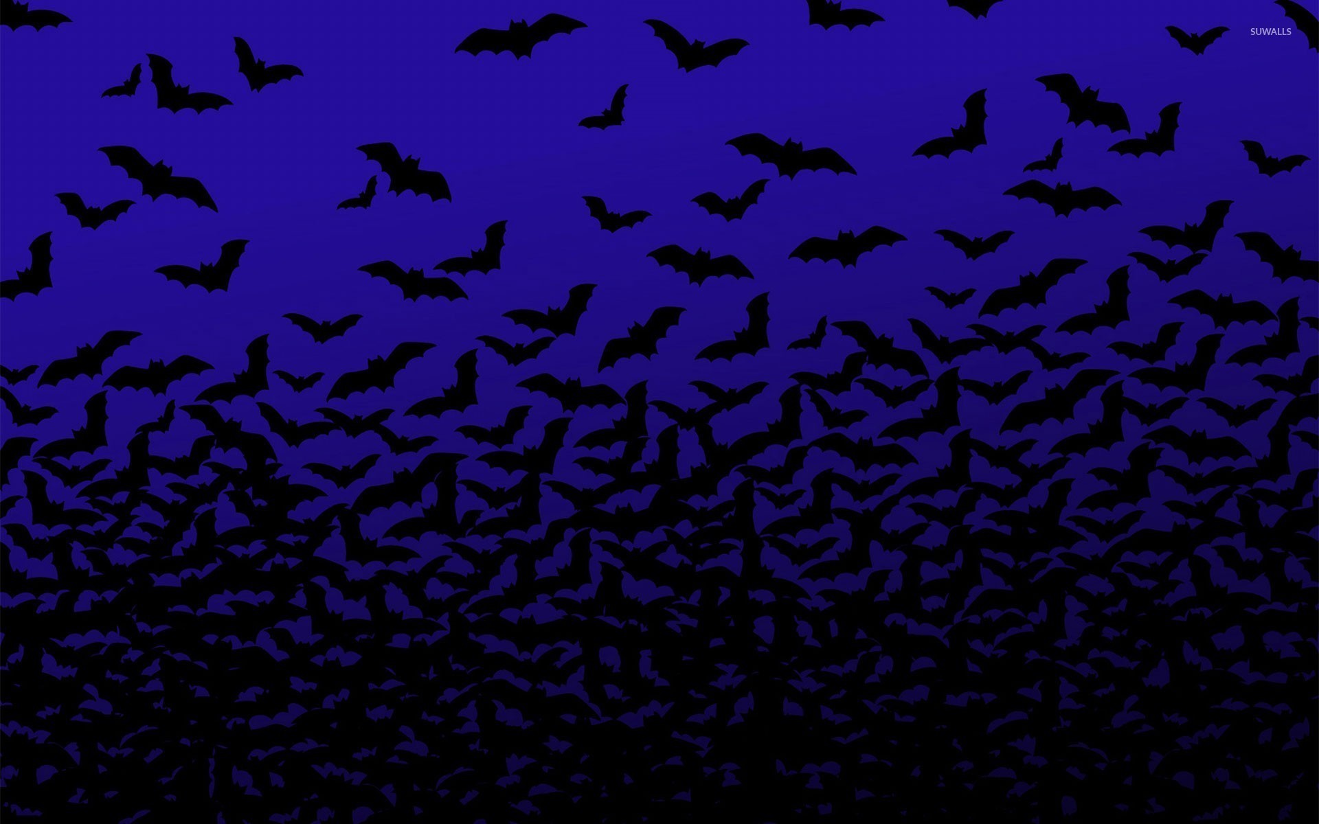 1920x1200 Bats wallpaper