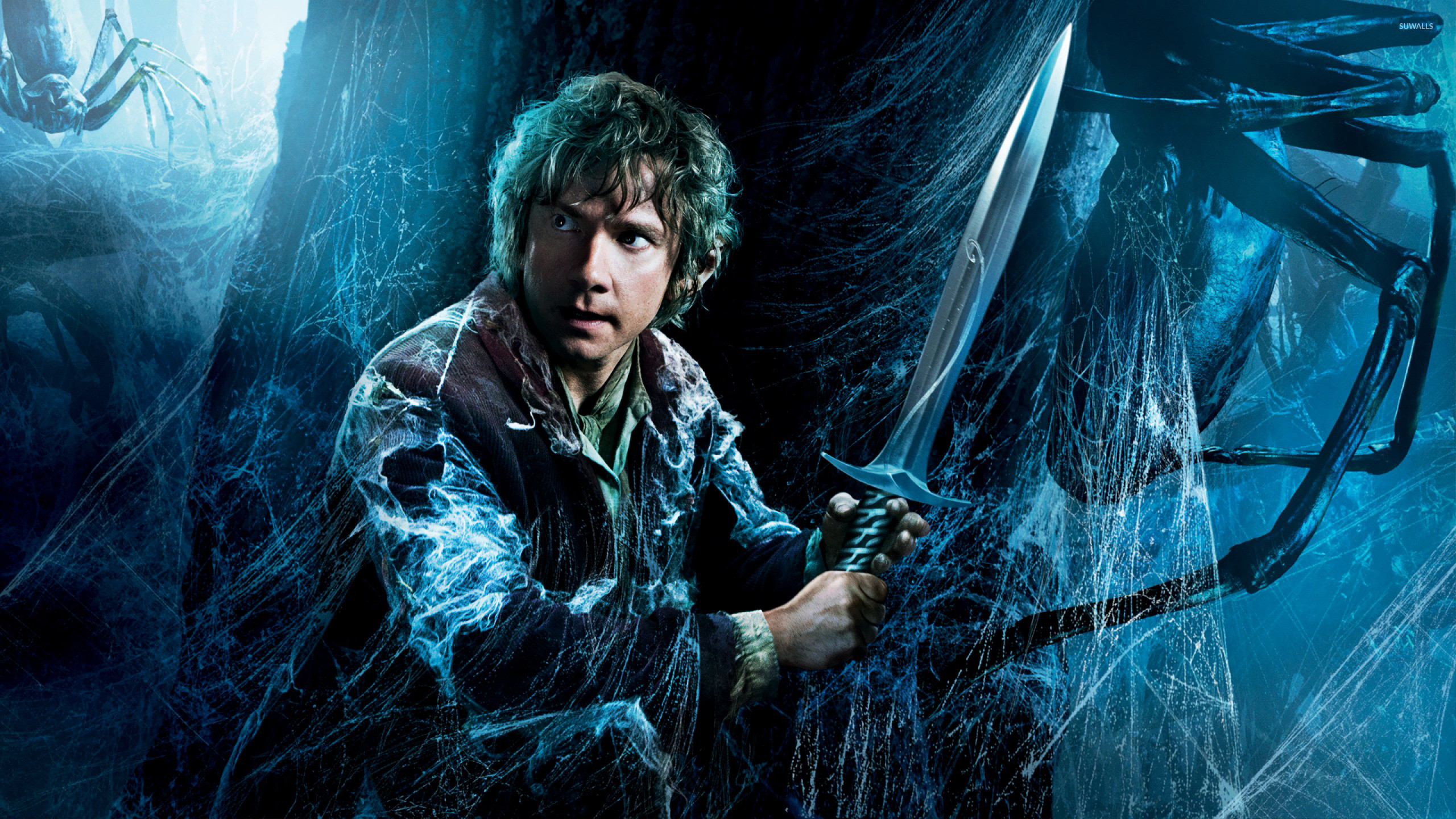 2560x1440 Bilbo- The Hobbit -The Desolation of Smaug wallpaper