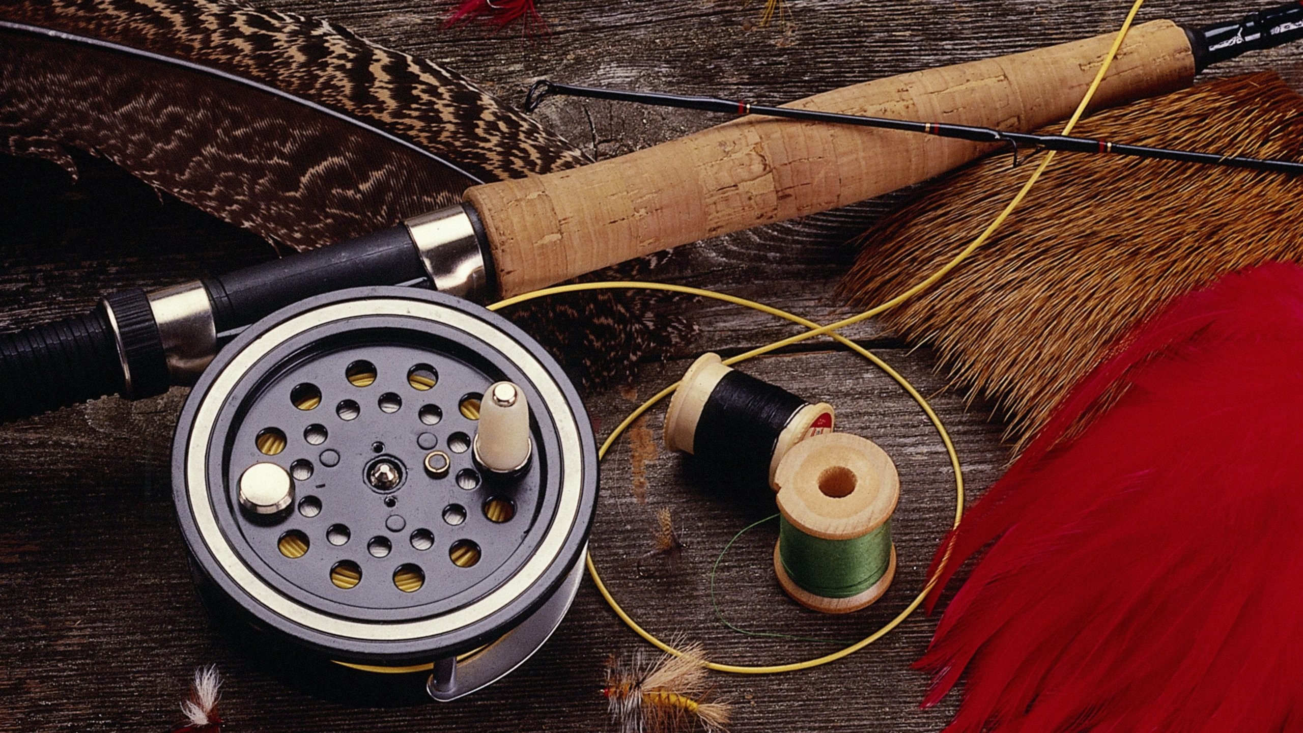 2560x1440 Download Fishing Equipment HD Wallpaper.