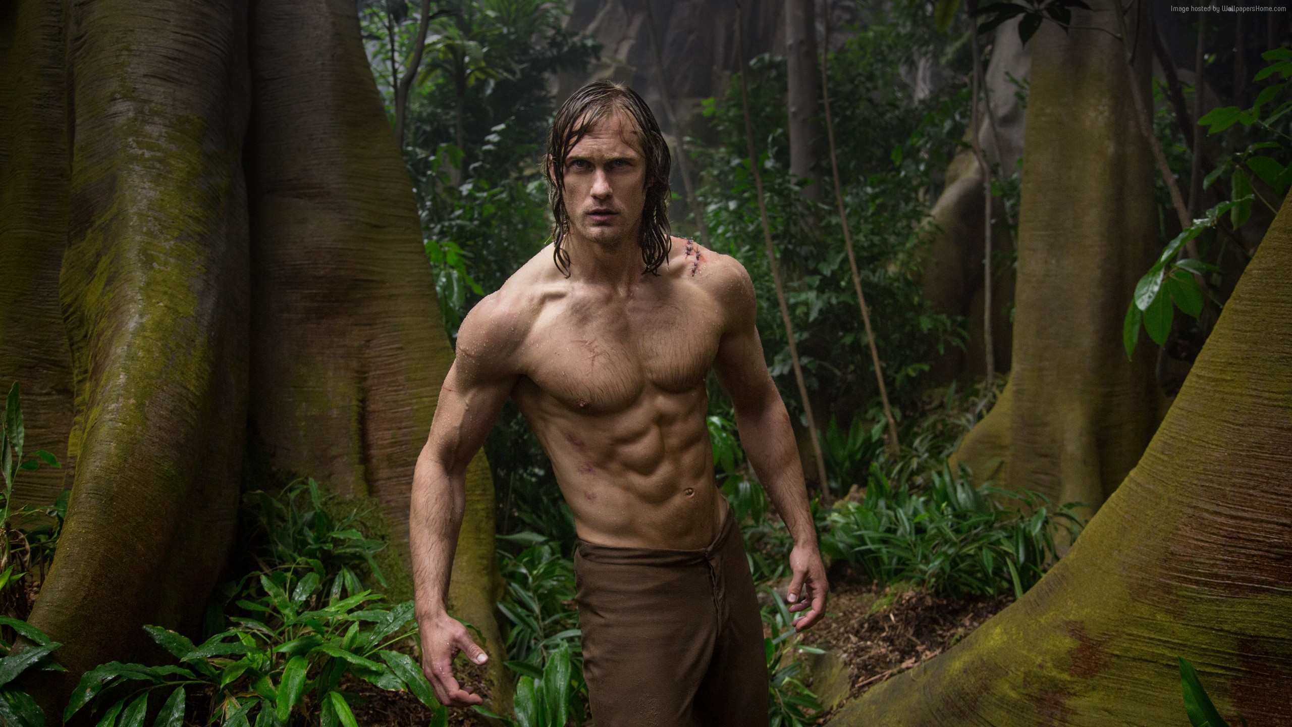 2560x1440 Alexander SkarsgÃ¥rd swings into action in the latest 'Legend of Tarzan'  trailer