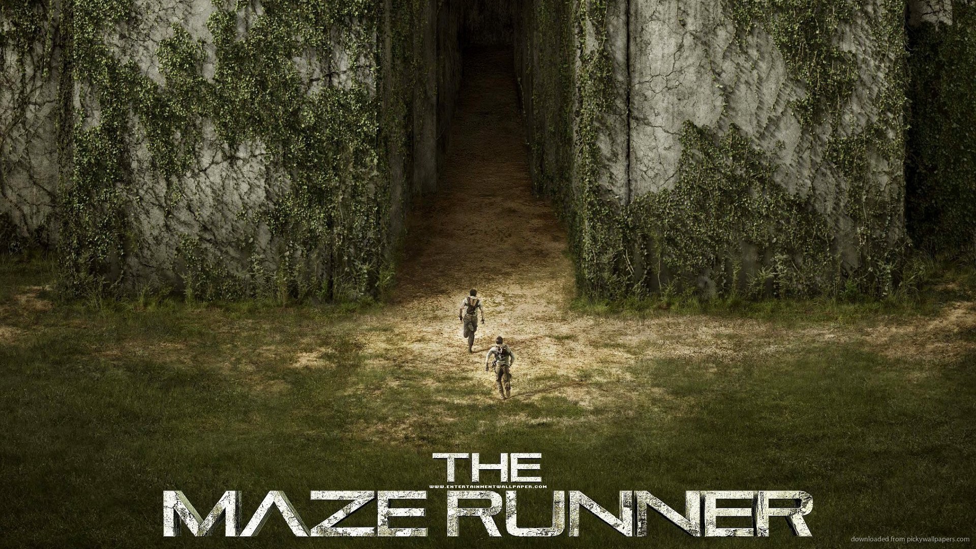 1920x1080 The Maze Runner High Definition Wallpaper picture