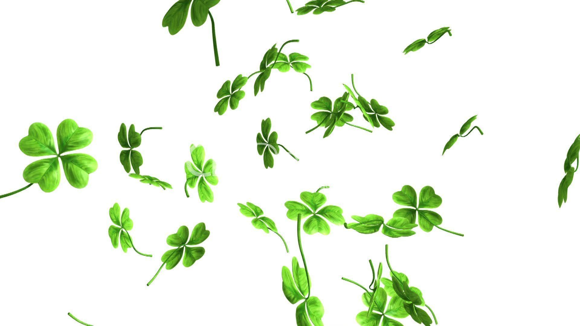 1920x1080 Falling shamrock leaves: Royalty-free video and stock footage