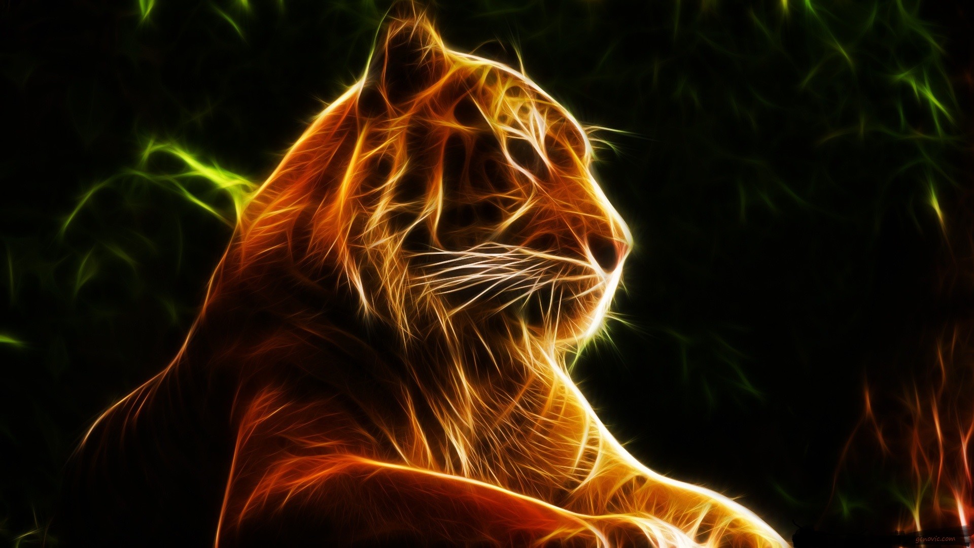 1920x1080 Tiger Lights Animation HD Wallpaper | 3D | Pinterest | Tigers, Animation  and 3d animation