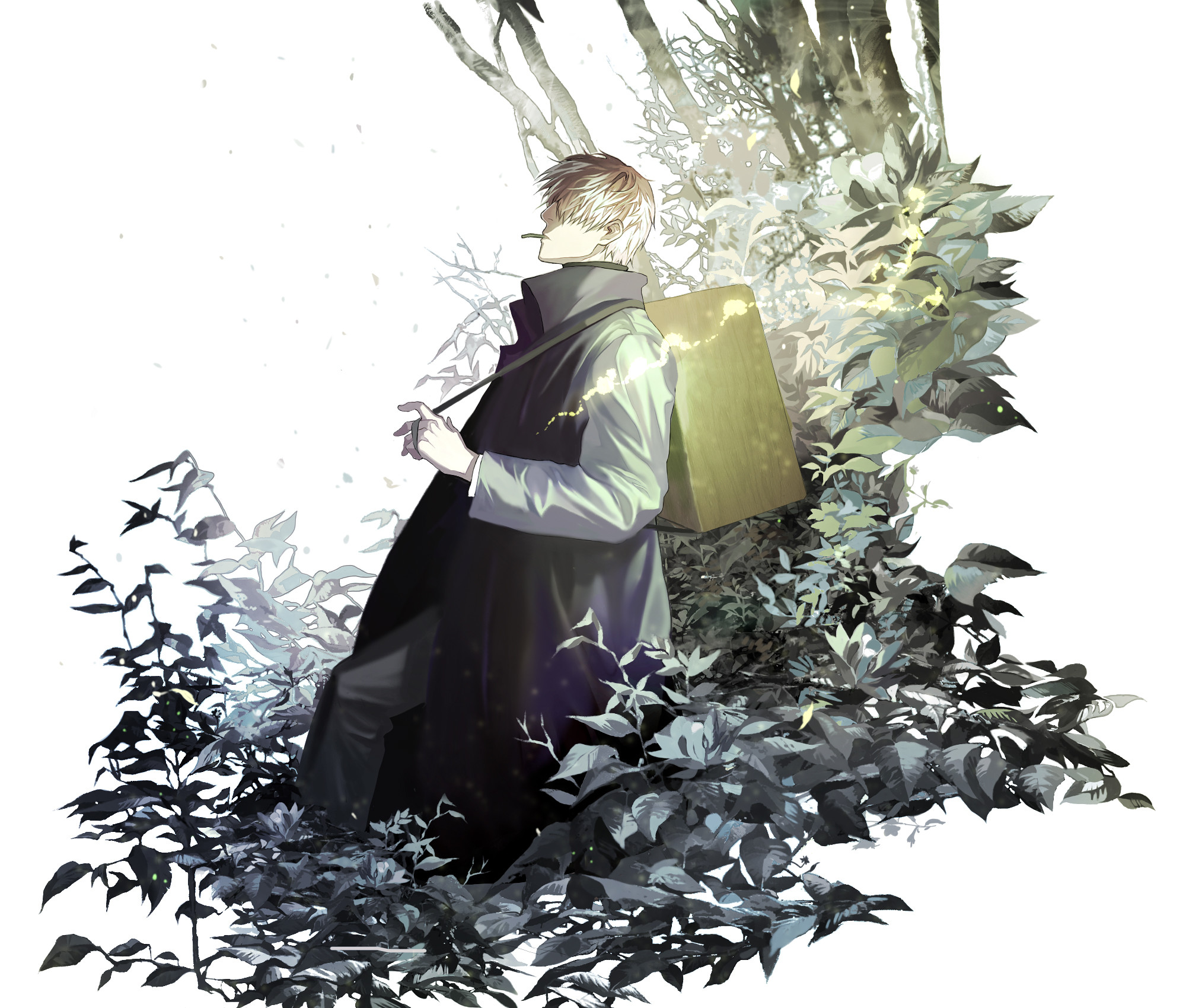 mushishi wallpaper