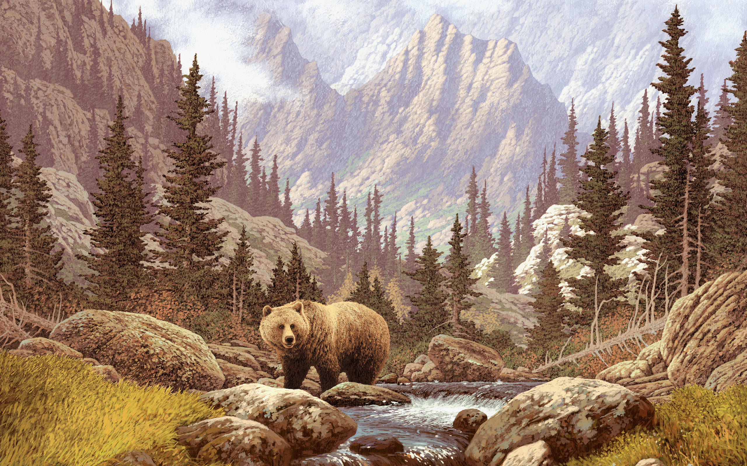 2560x1600 HD Bear Backgrounds Free Download.