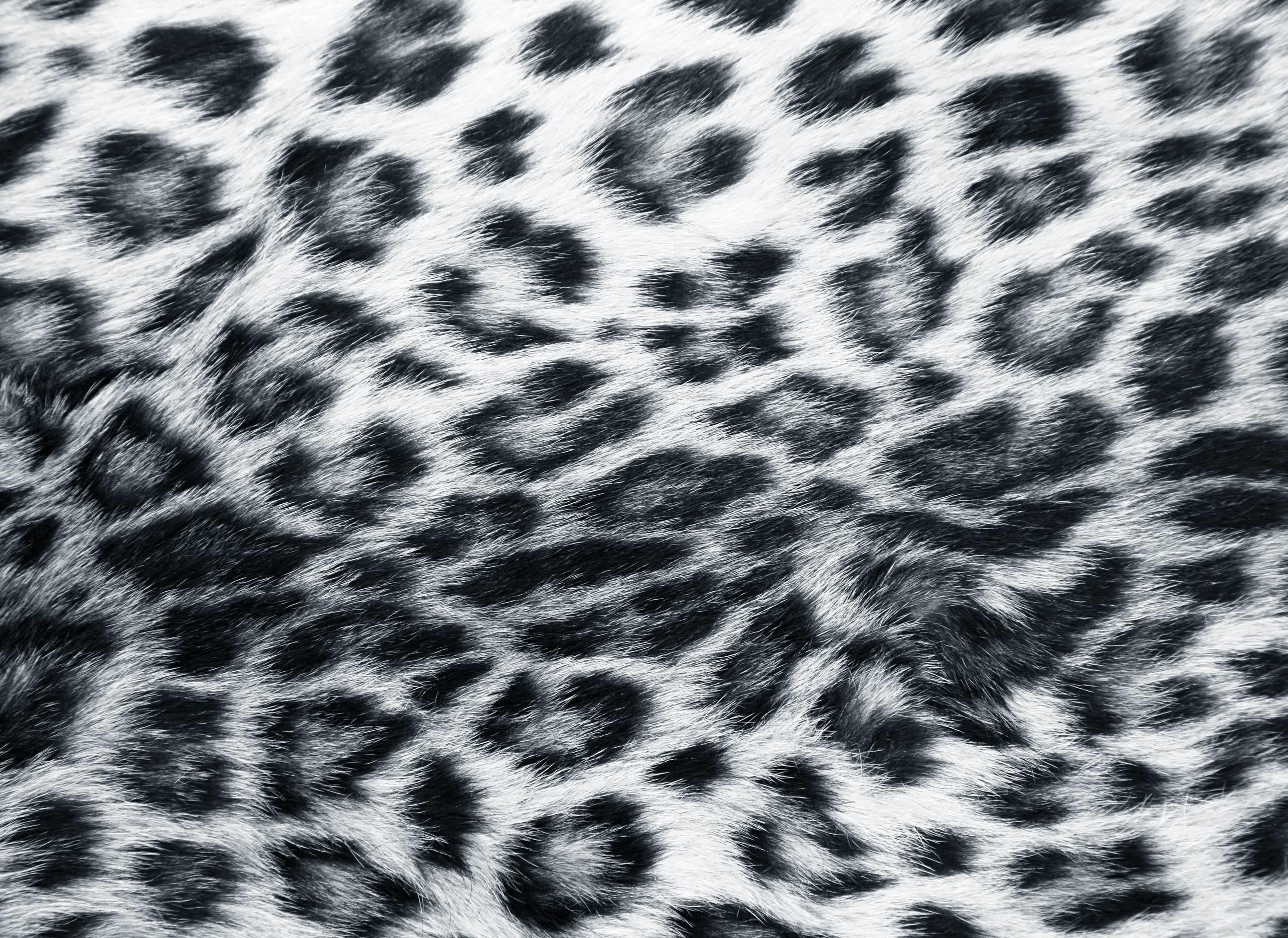 2594x1888 pin Drawn leopard skin background twitter #6