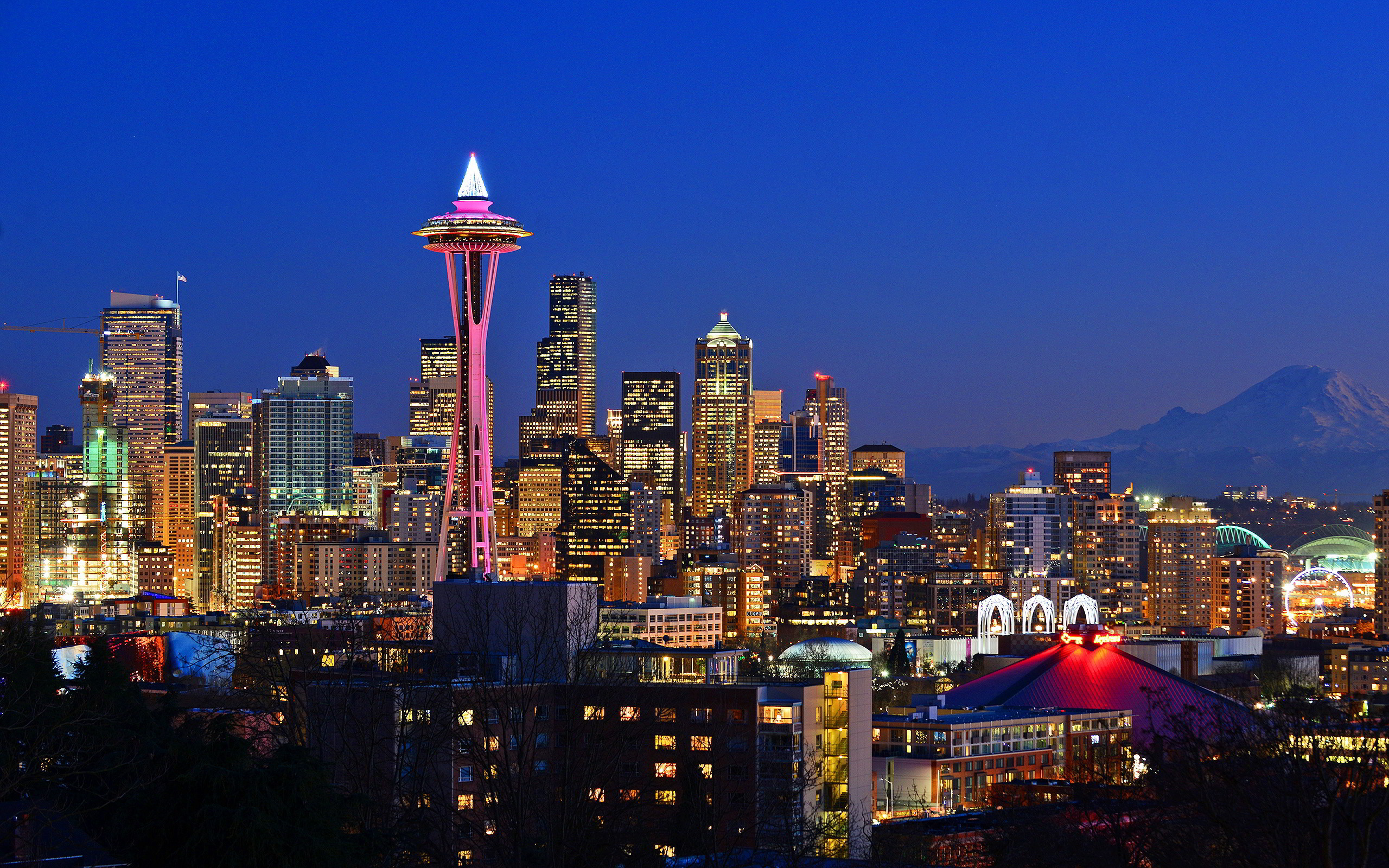 Seattle Skyline Wallpaper 69 Images 