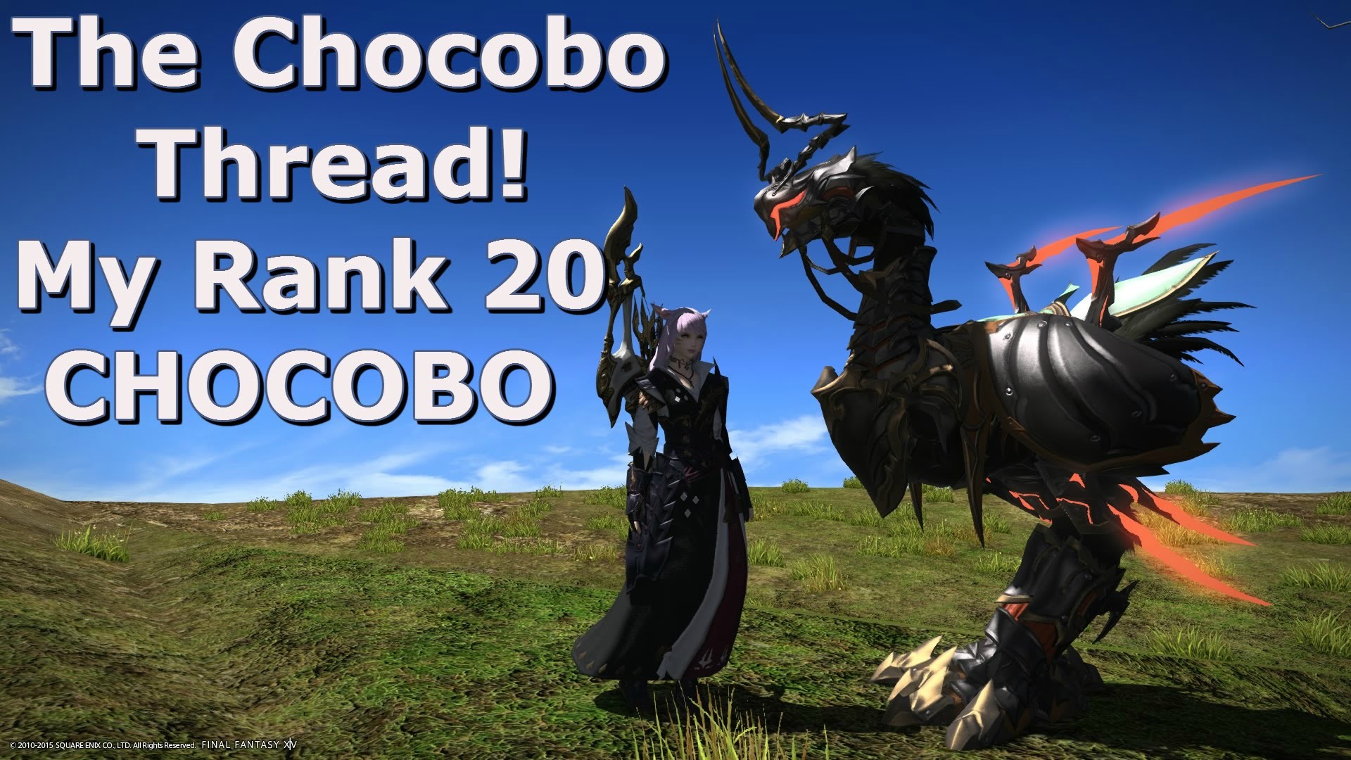 1920x1080 ãFINAL FANTASY XIVãHeavensward: The Chocobo Thread "My Rank 20 Chocobo  (Guide)" - YouTube