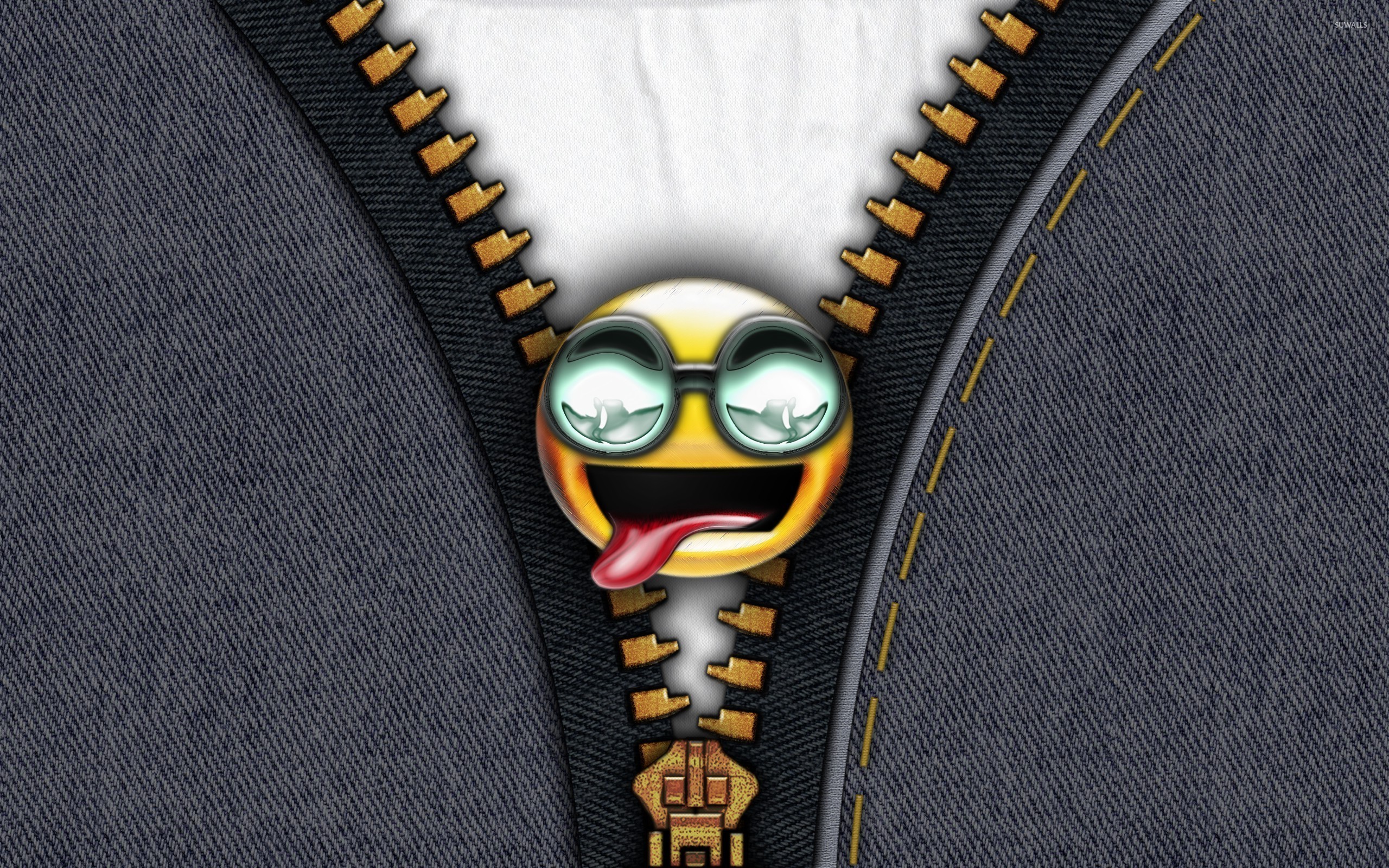 2560x1600 Emoticon on denim zipper wallpaper