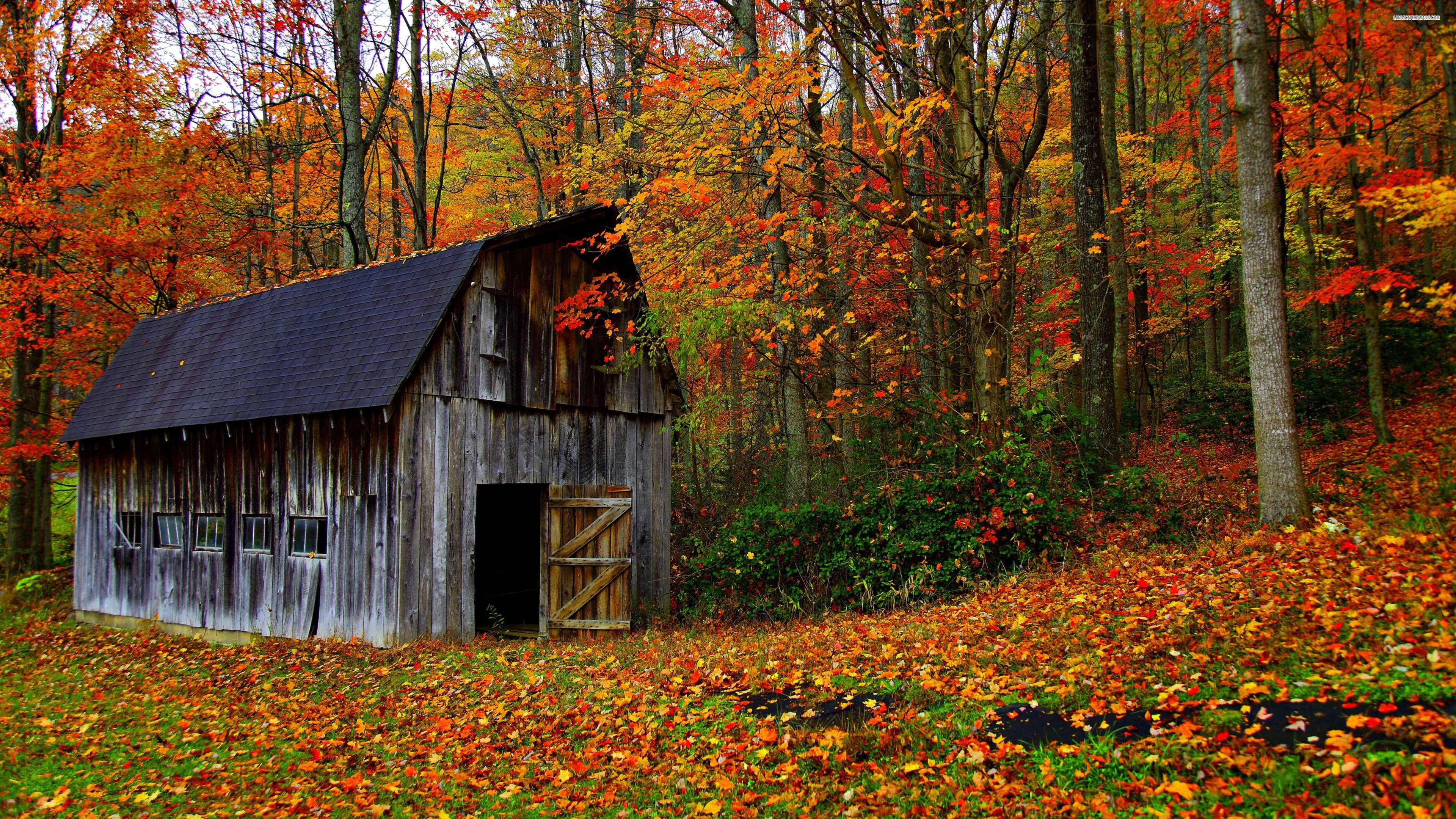 3840x2160 Old Barn In The Colorful Forest