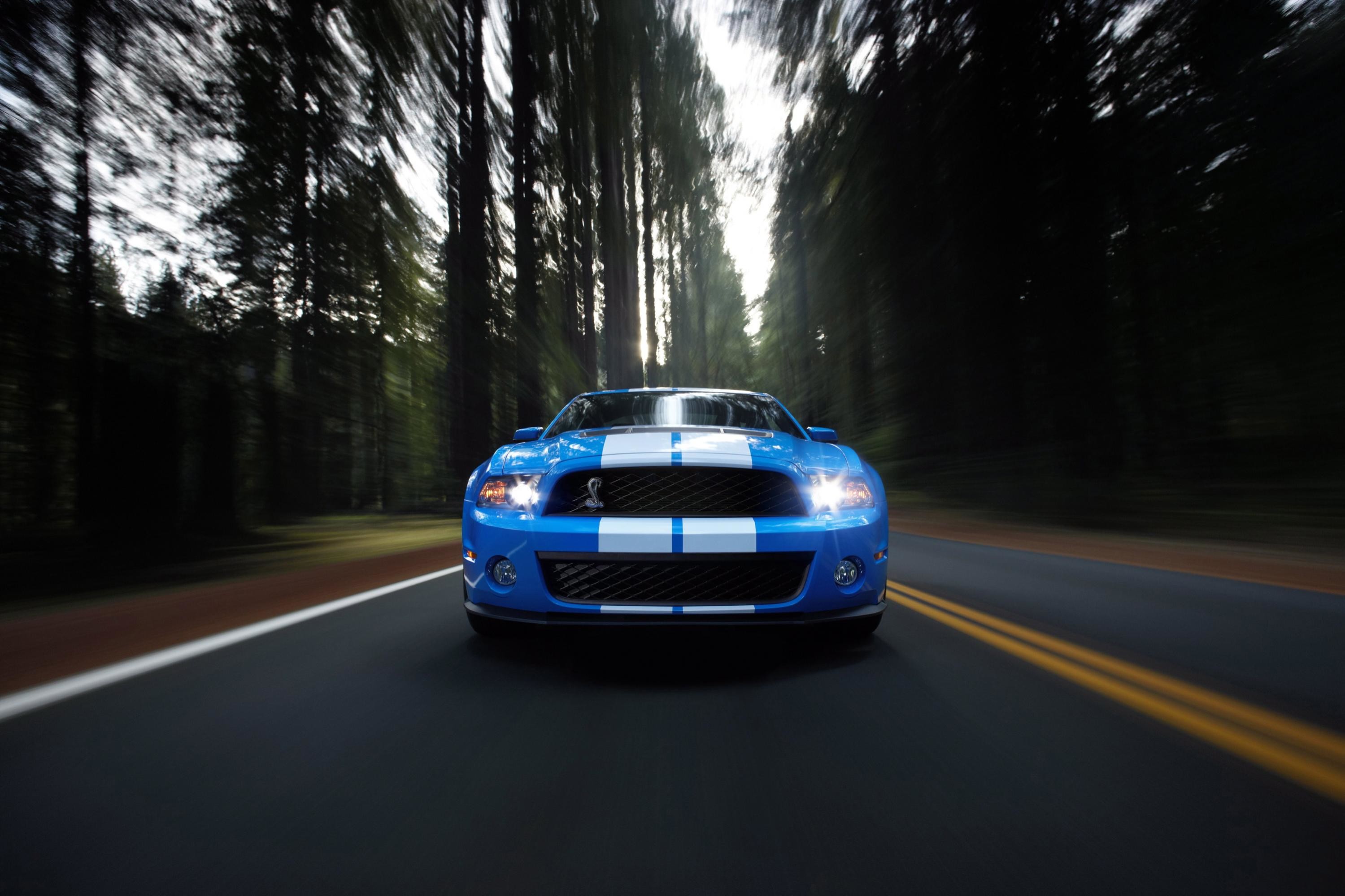 2999x2000 Blue Ford Mustang #Hd #Cars