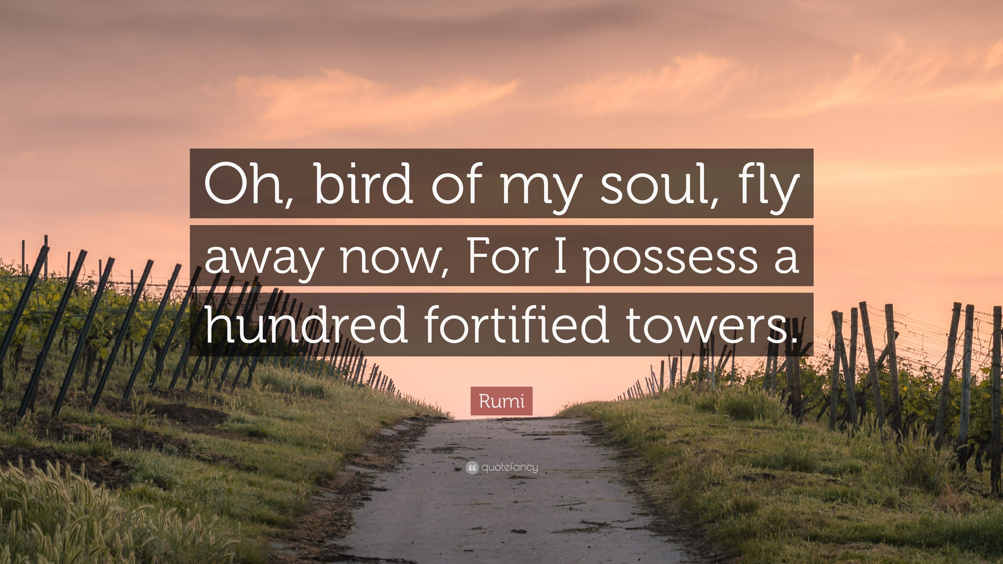 3840x2160 Rumi Quote: “Oh, bird of my soul, fly away now, For