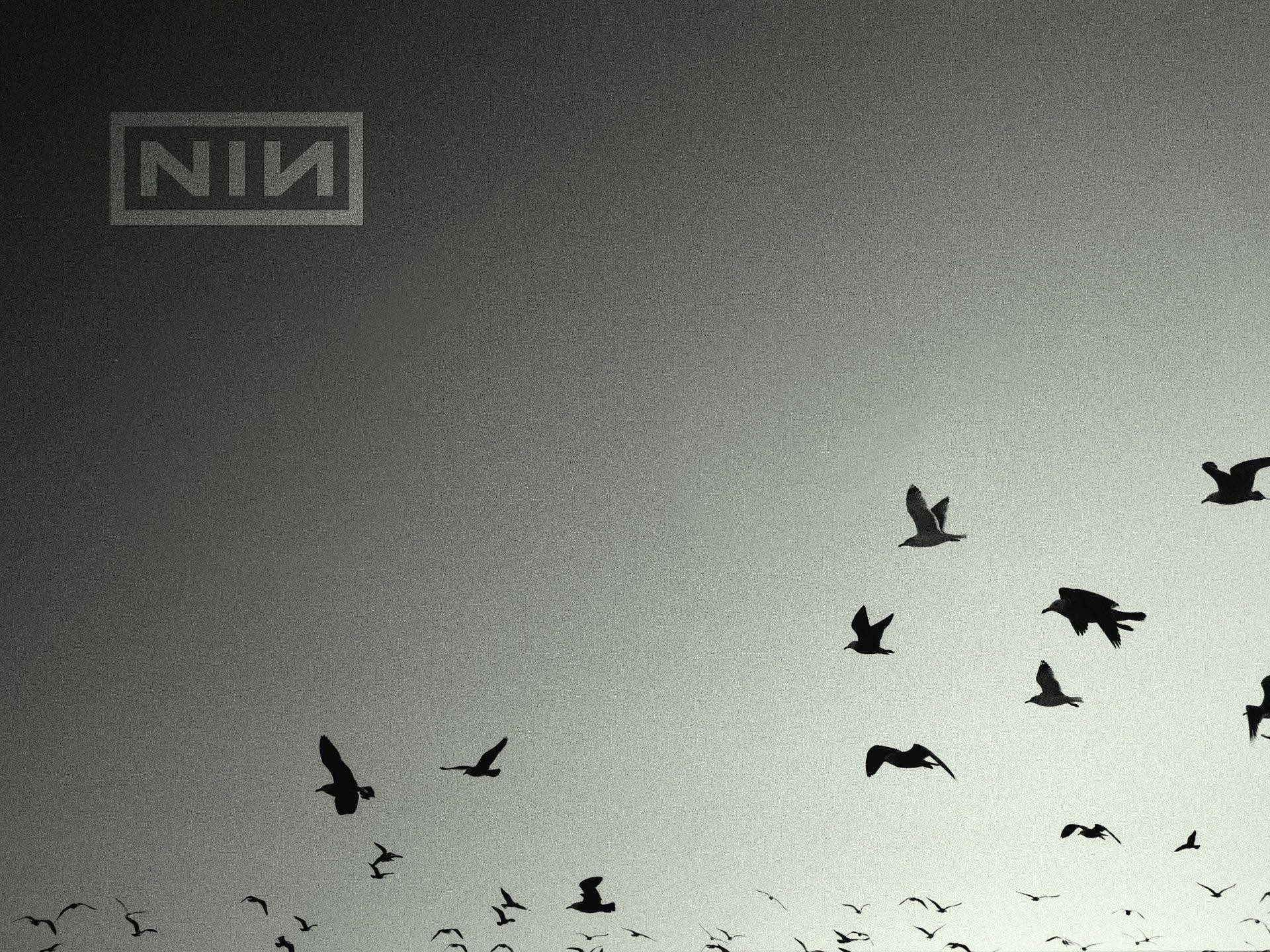 1920x1440 90 Nine Inch Nails Wallpapers | Nine Inch Nails Backgrounds