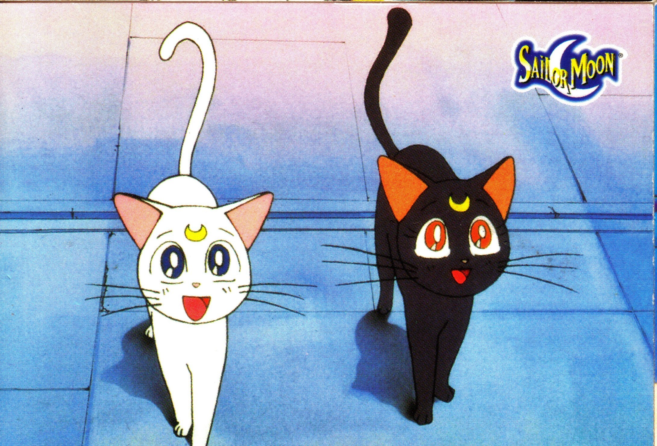 Кошка муна. Сейлормун кошка Луна. Sailor Moon Луна кошка. Sailor Moon Луна и Артемис. Сейлормун кот Артемис.