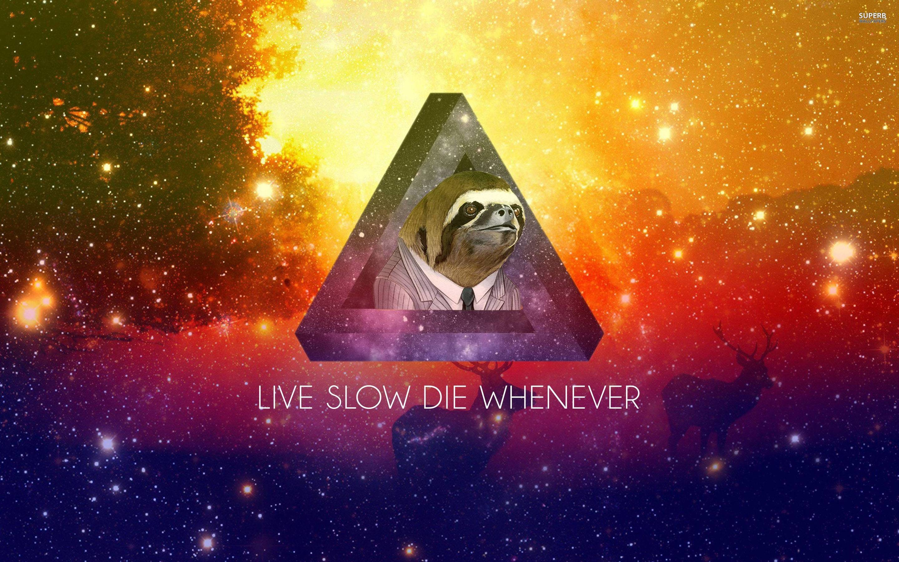 2880x1800 Sloth Wallpapers - Full HD wallpaper search