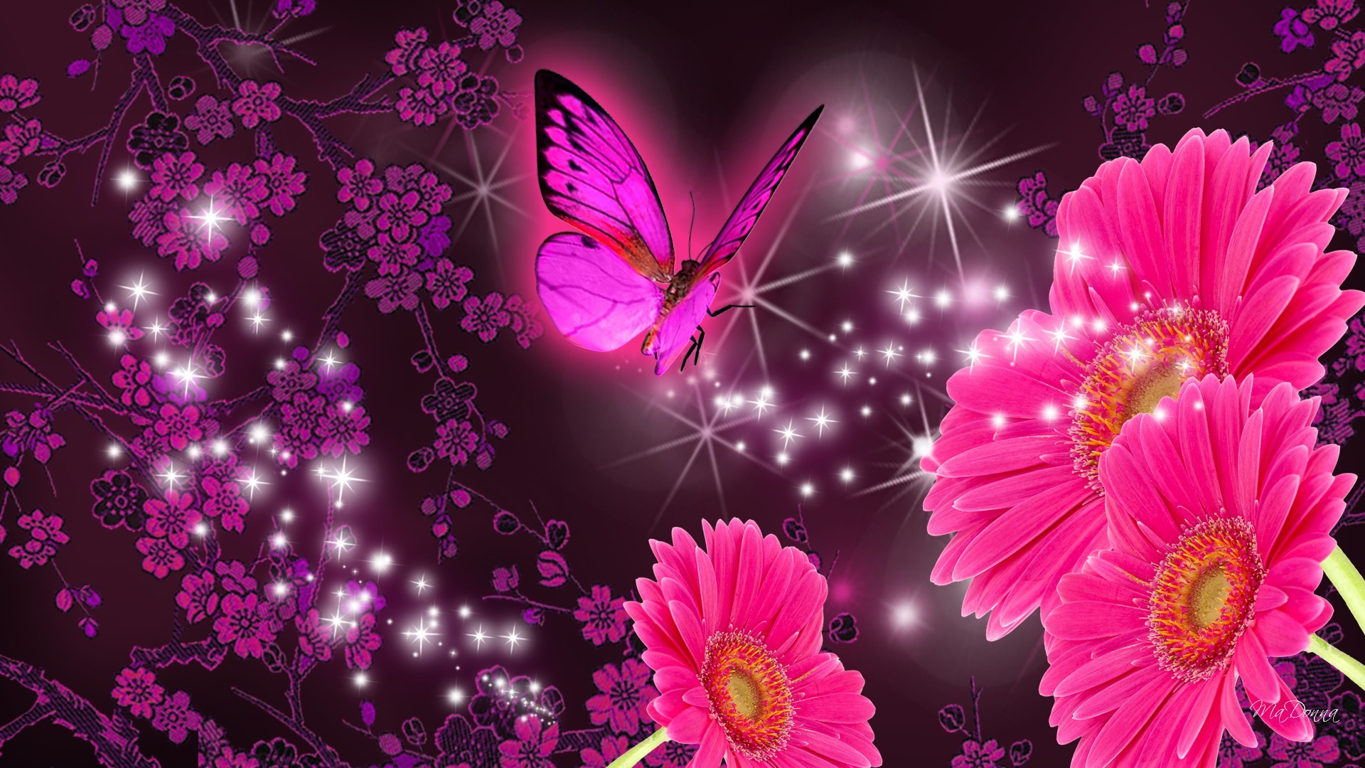 1920x1080 Pink Gerberas and Purple Butterfly