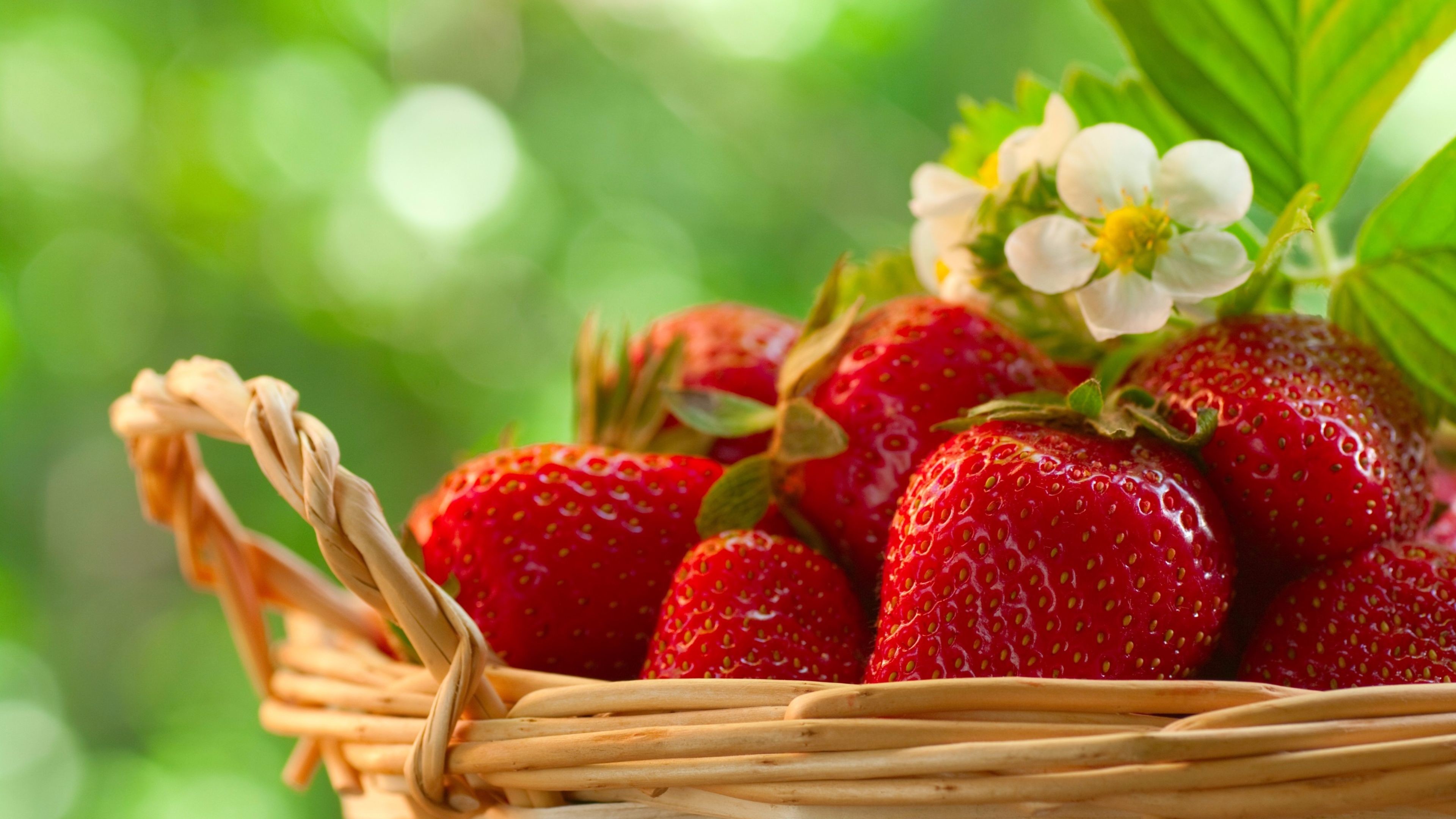 3840x2160 Spring Season Strawberries 4K Wallpaper