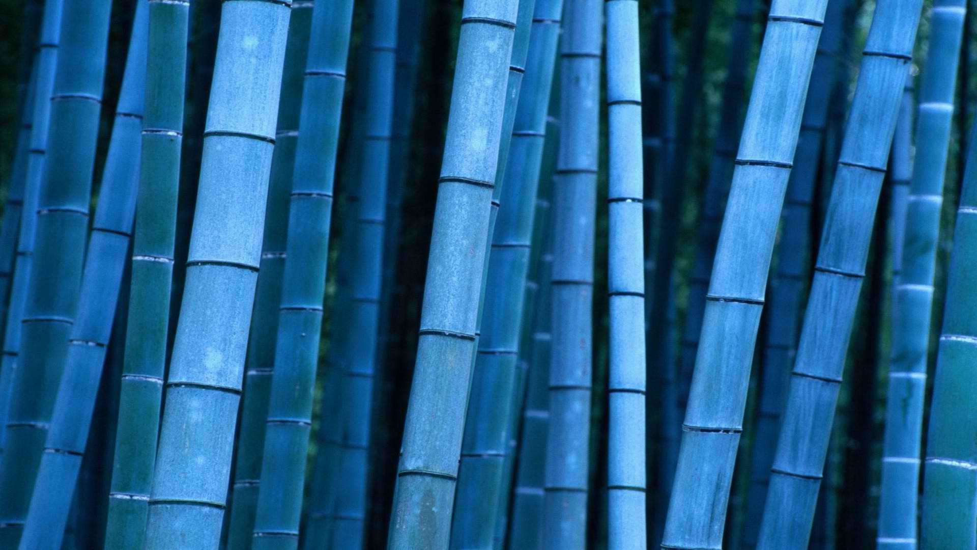 1920x1080 Wood-Bamboo-Wallpaper-HD
