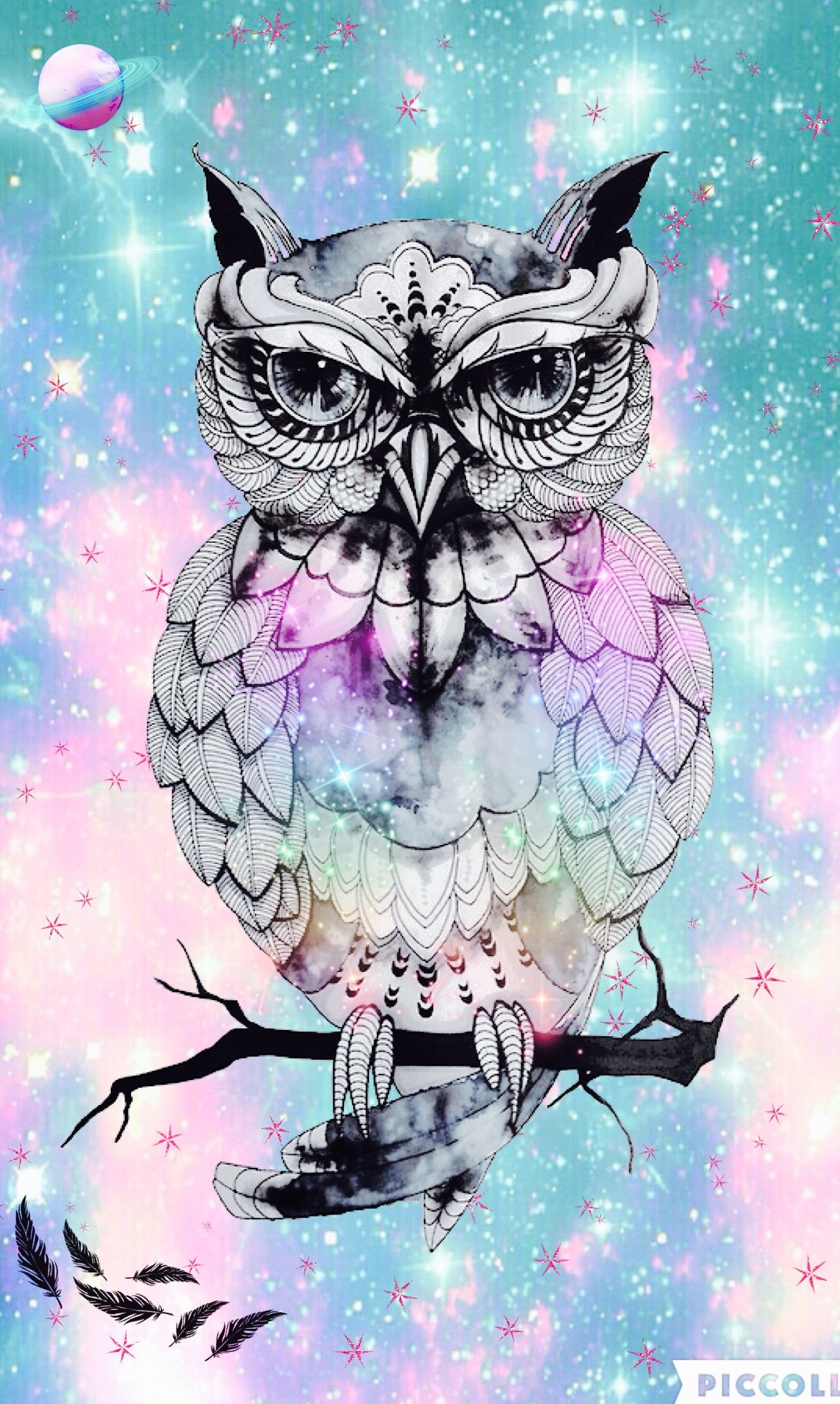 1206x2015 Owl hipster
