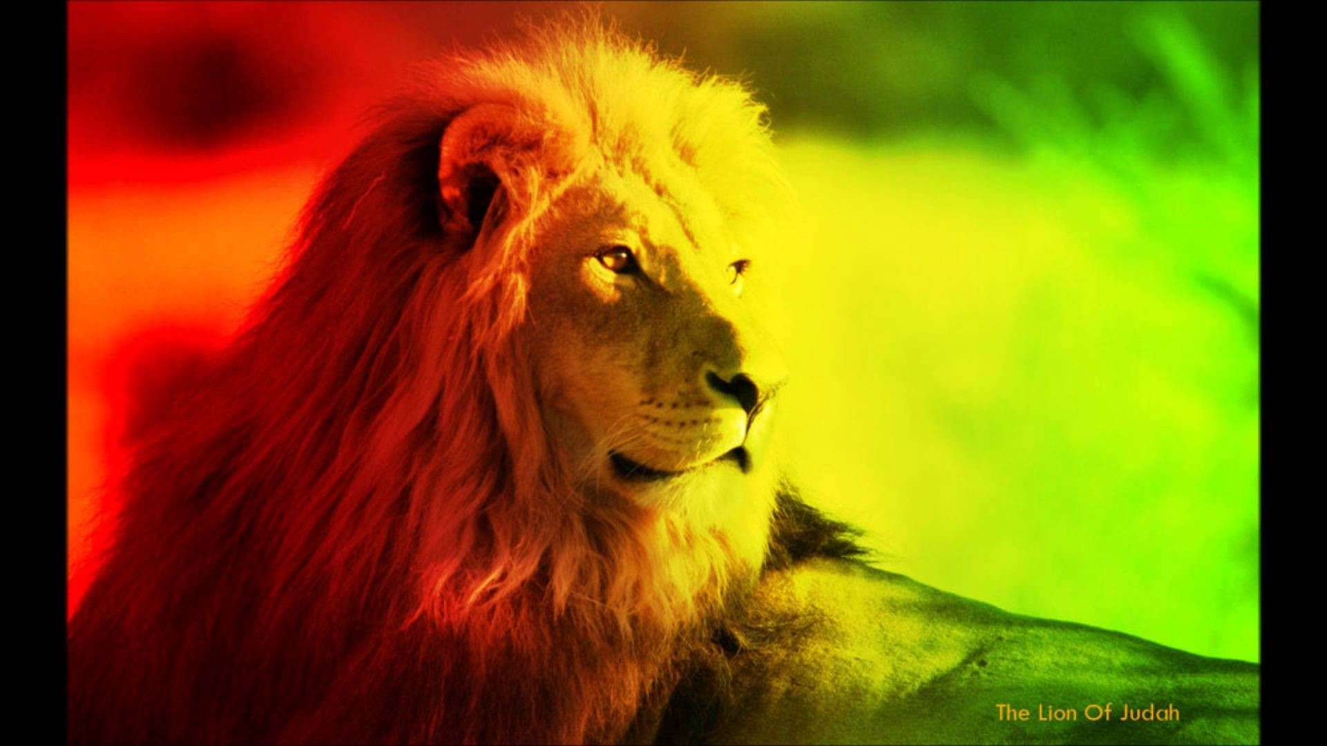 Reggae Lion Wallpaper (67+ images)