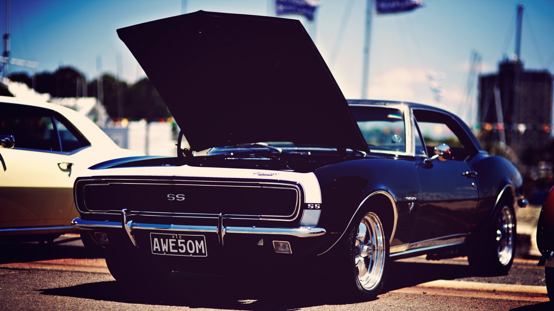 1920x1080 ...  Download Wallpaper american cars, muscle, stylish, car .