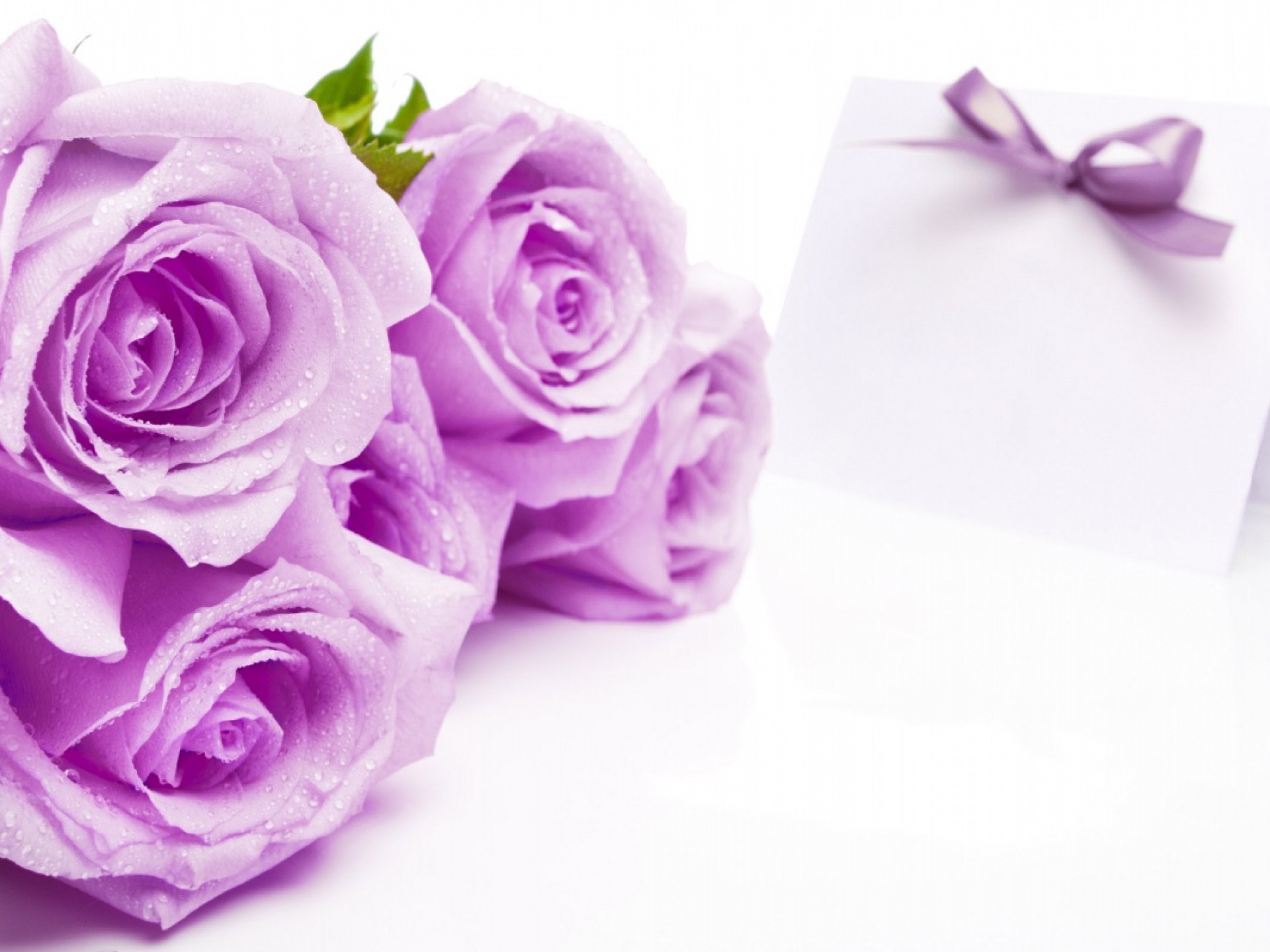 1920x1440 Farben images Purple Rose Hintergrund HD wallpaper and background photos
