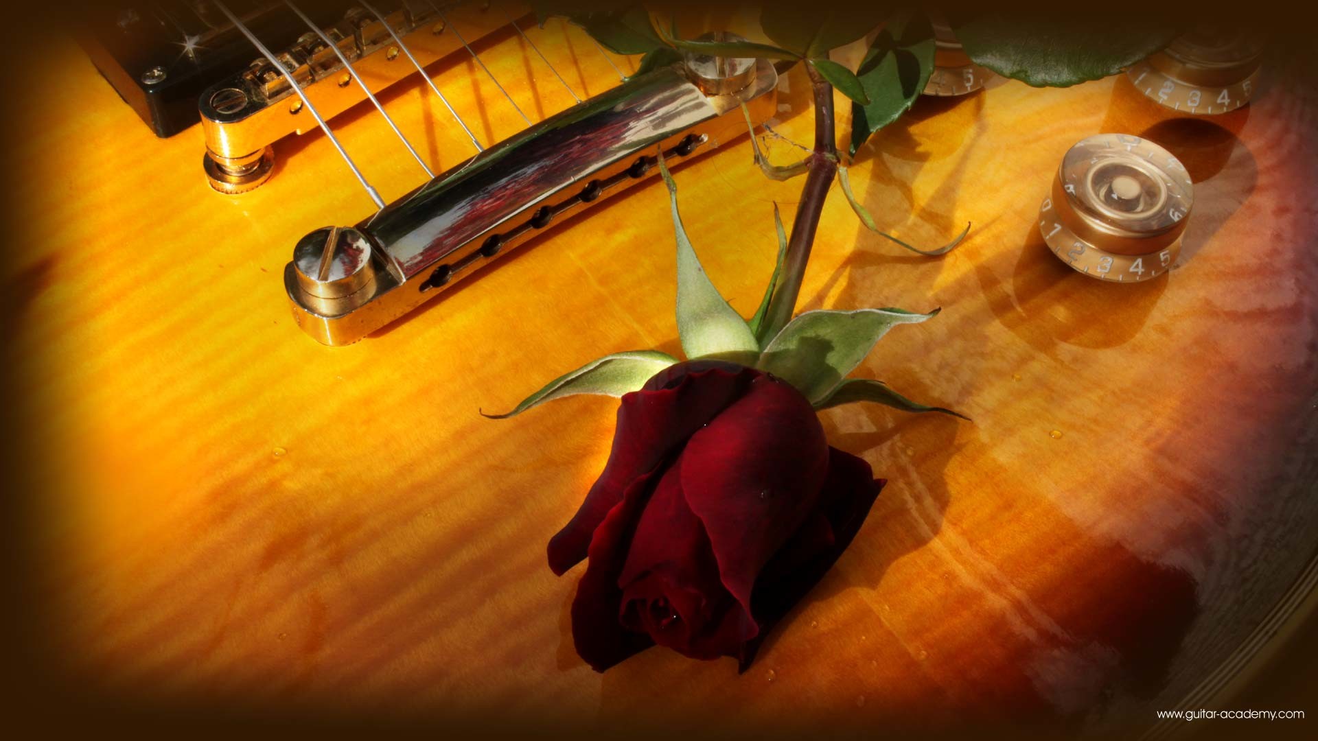 1920x1080 Guitar wallpaper, romantic looking Gibson Les Paul and red rose
